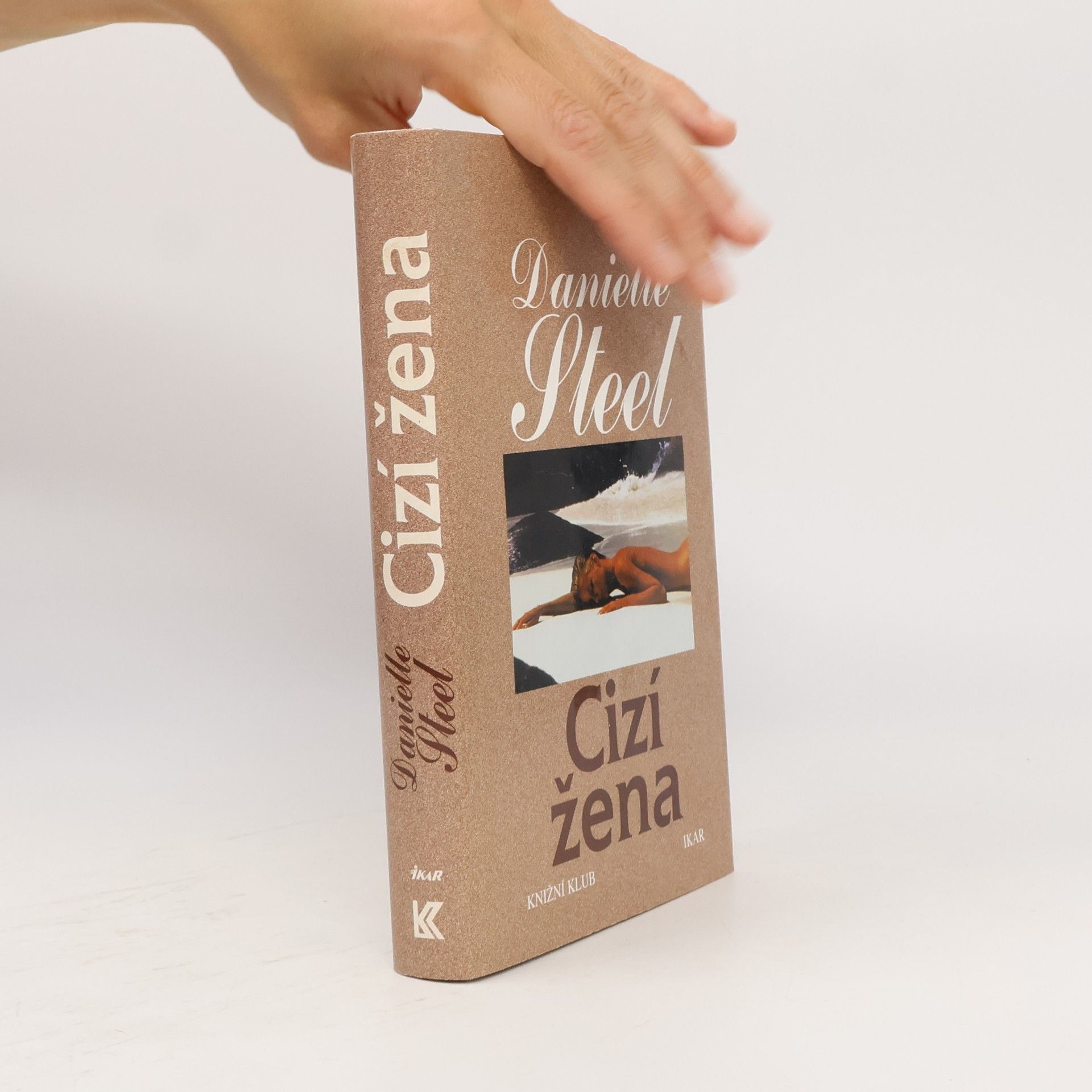 Danielle Steel Cizí žena