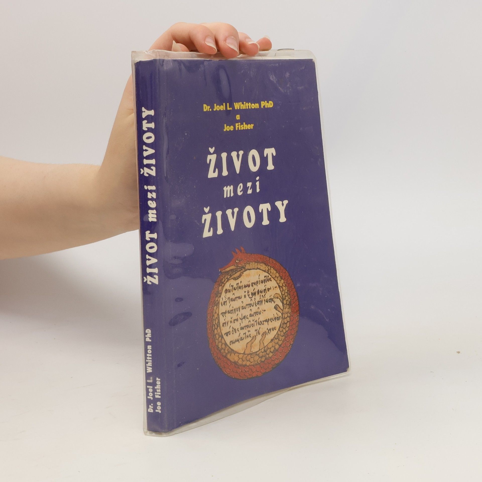 Joel L. Whitton Život mezi životy