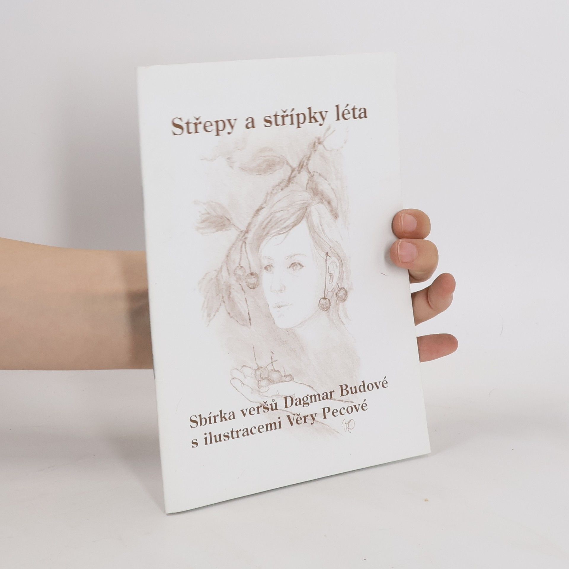 Střepy a střípky léta
