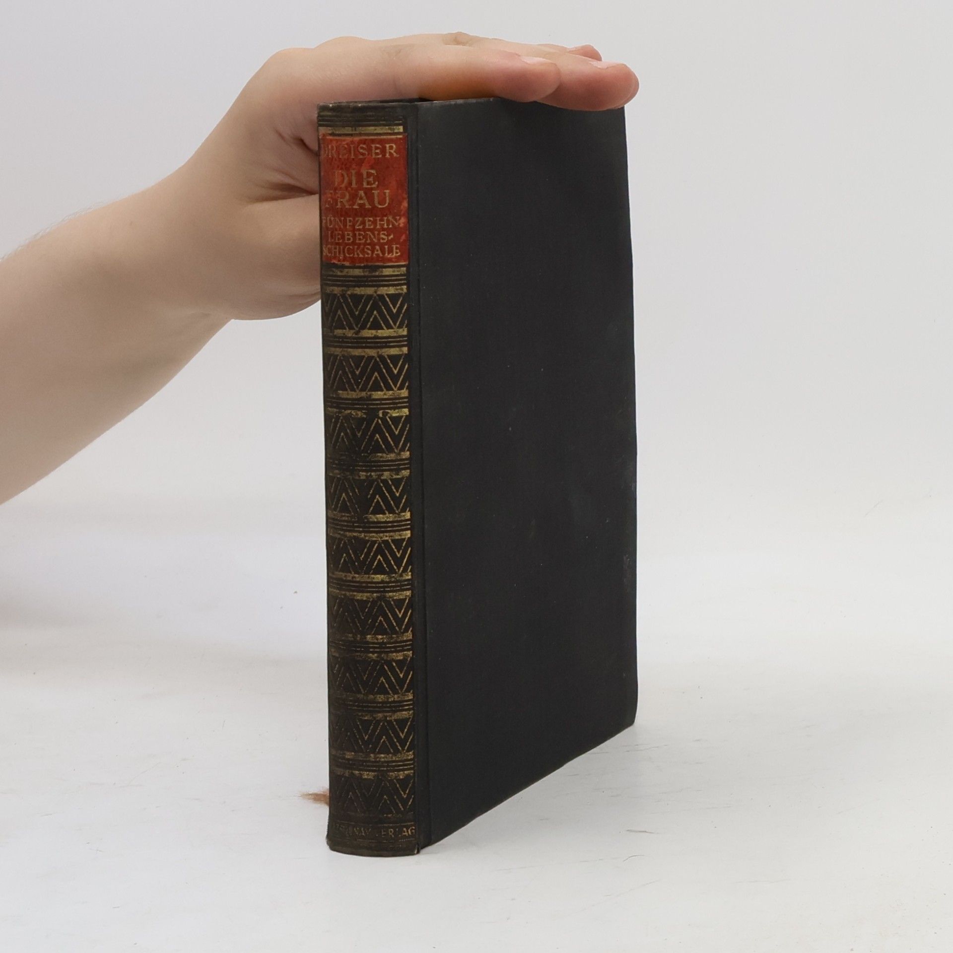 Theodore Dreiser Die Frau. Band 1