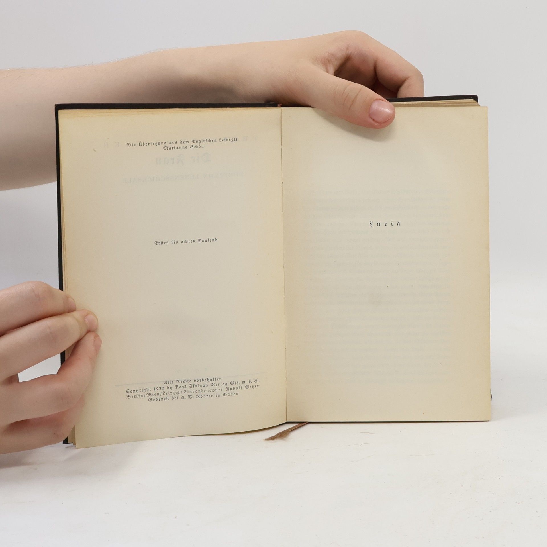 Theodore Dreiser Die Frau. Band 1