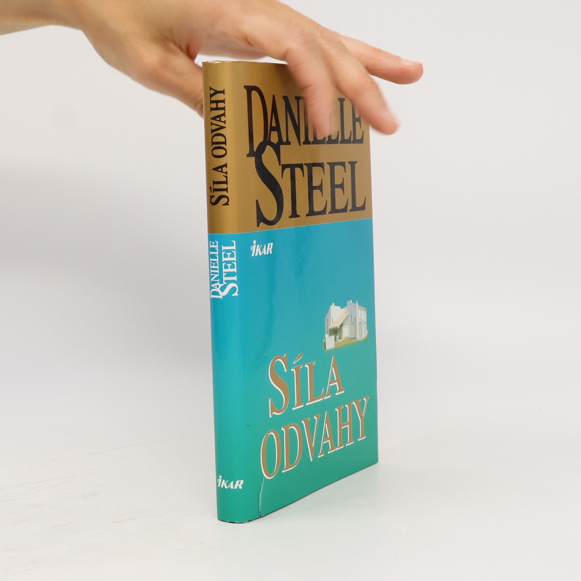 Danielle Steel Síla odvahy