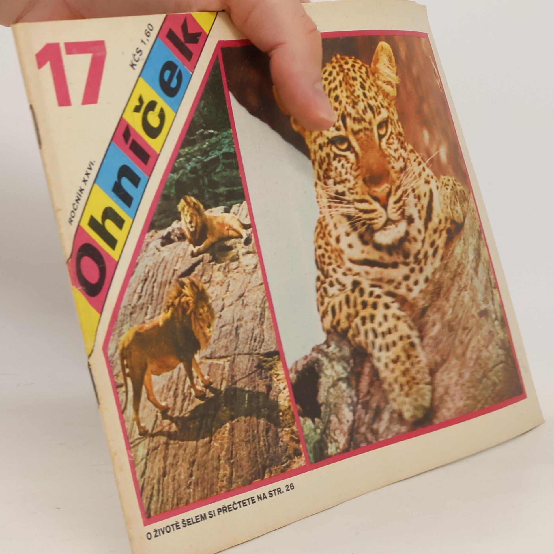Kolektiv autorů Ohníček 17