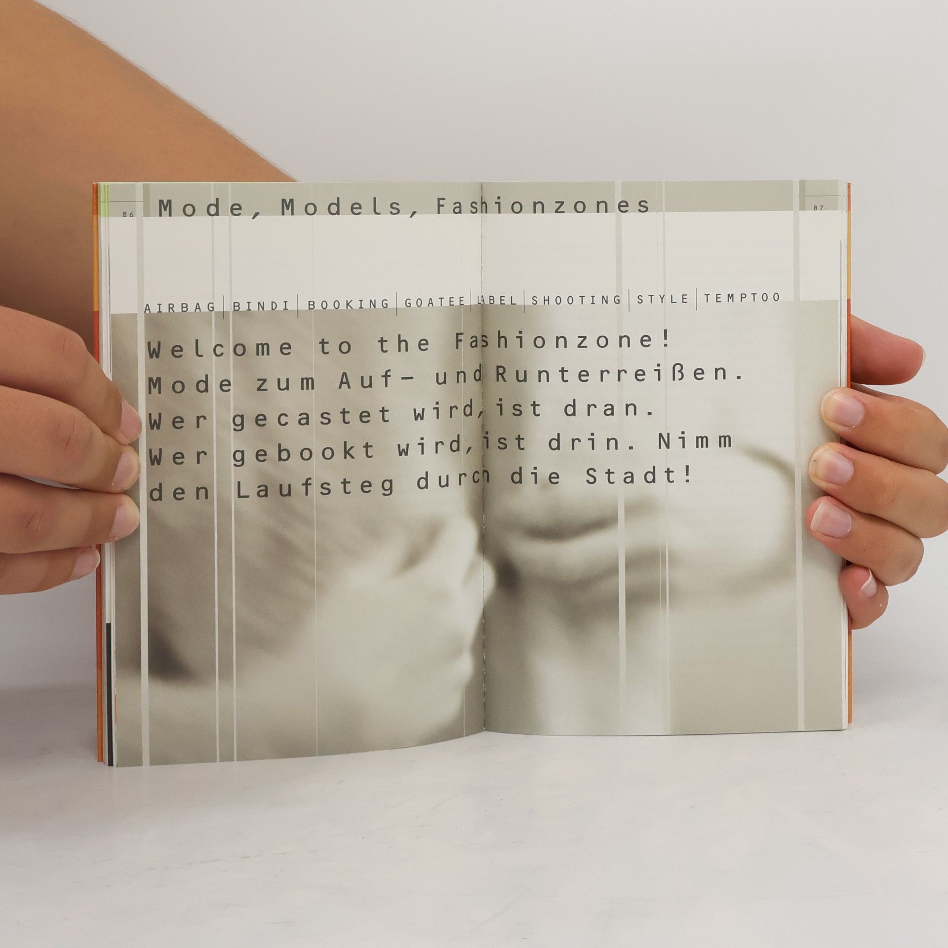 Peter Wippermann Duden, Wörterbuch der Szenesprachen