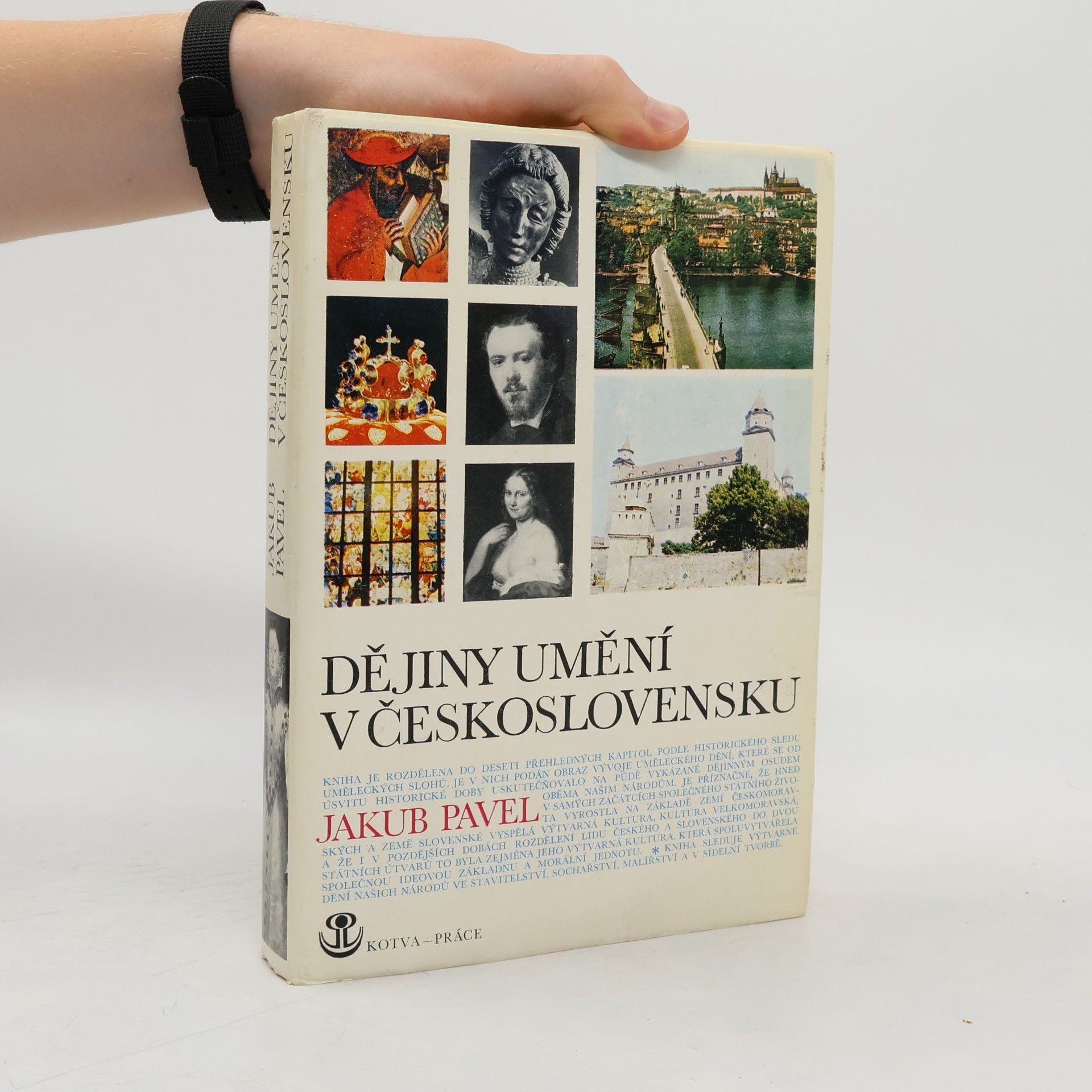 Jakub Pavel Dějiny umění v Československu