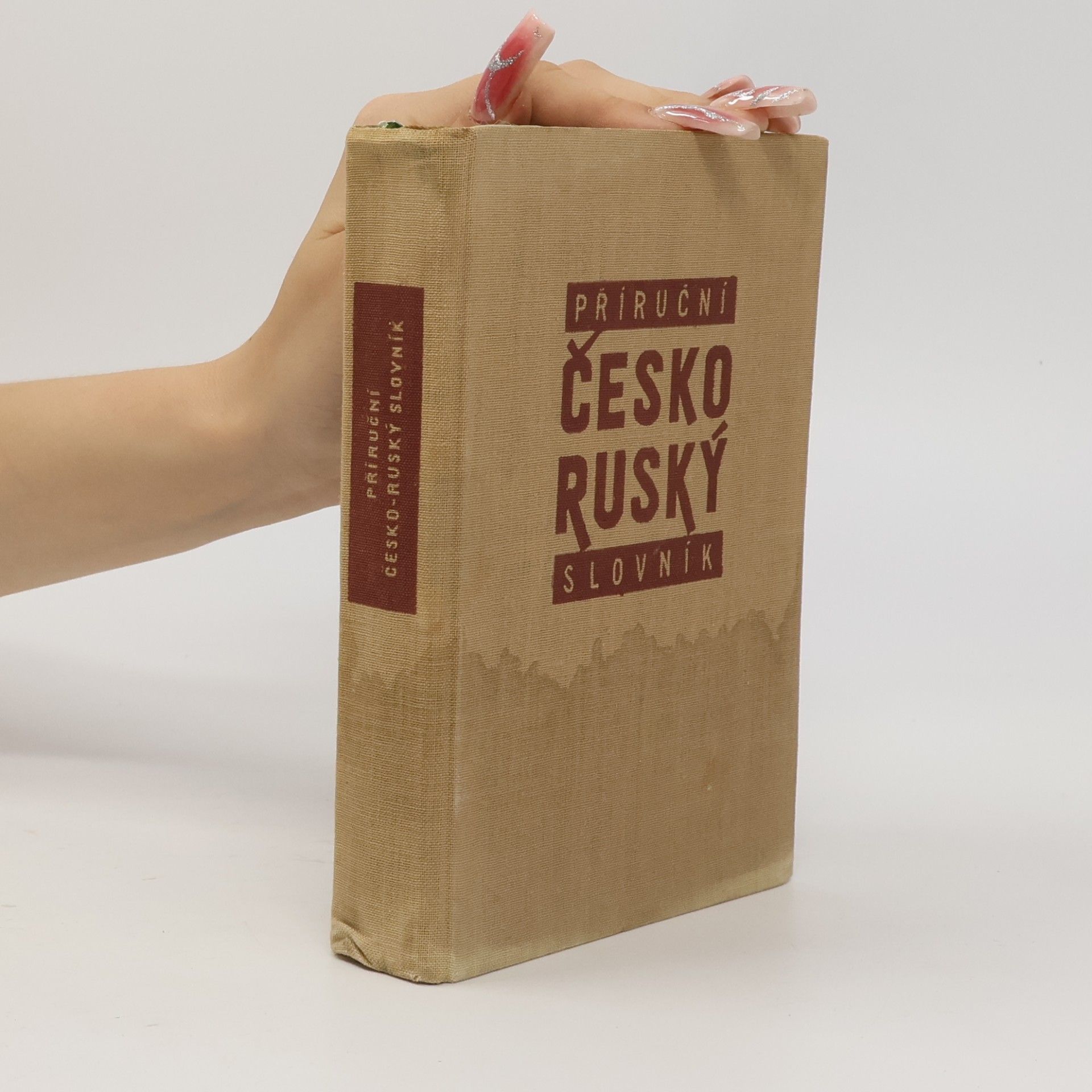 Kolektiv autorů Příruční česko-ruský slovník