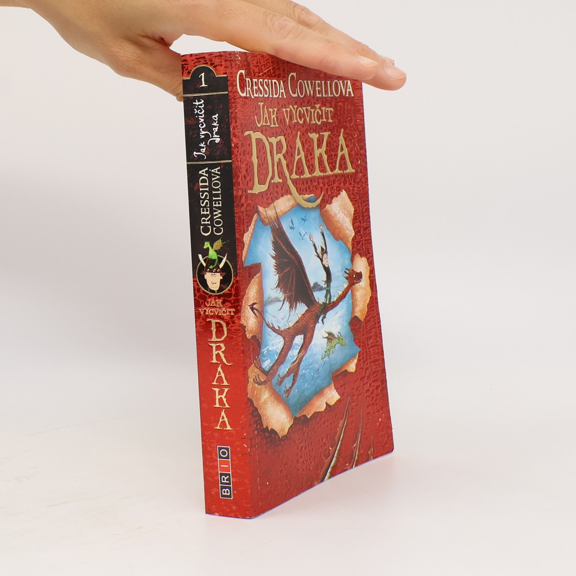 Cressida Cowell Jak vycvičit draka
