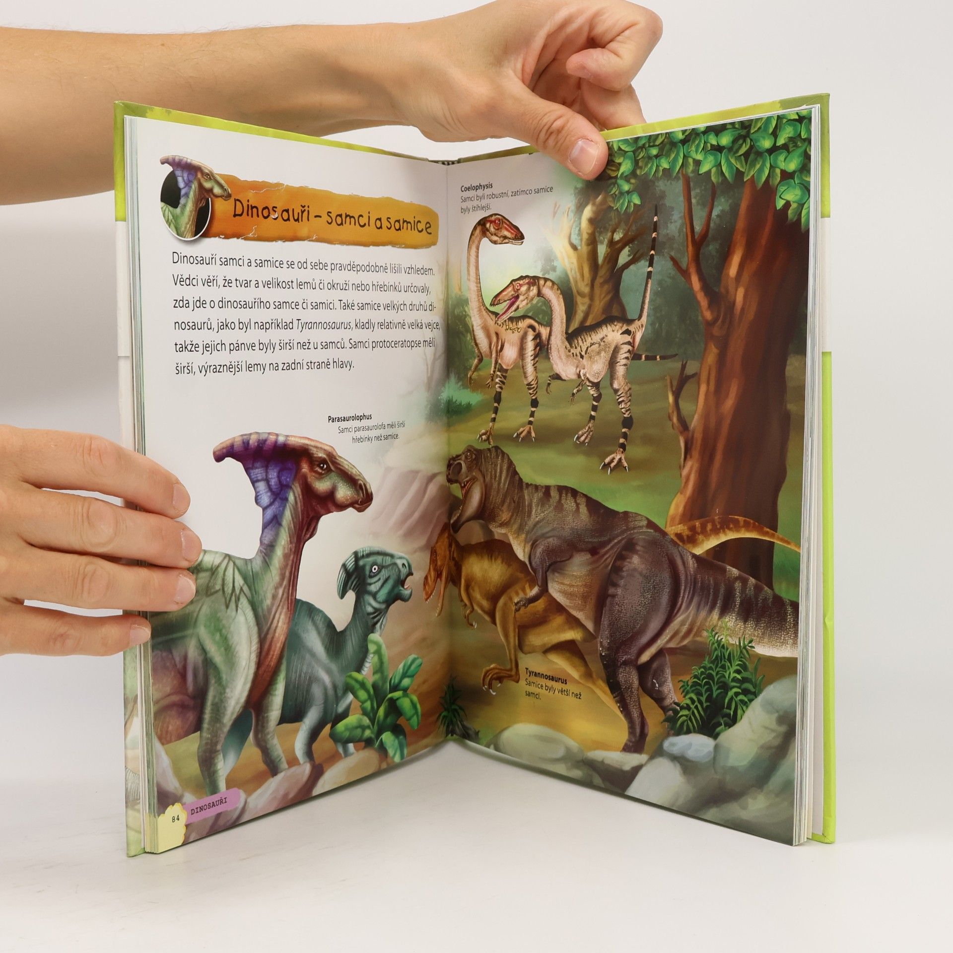 Martina Blahníková Úžasný svět dinosaurů