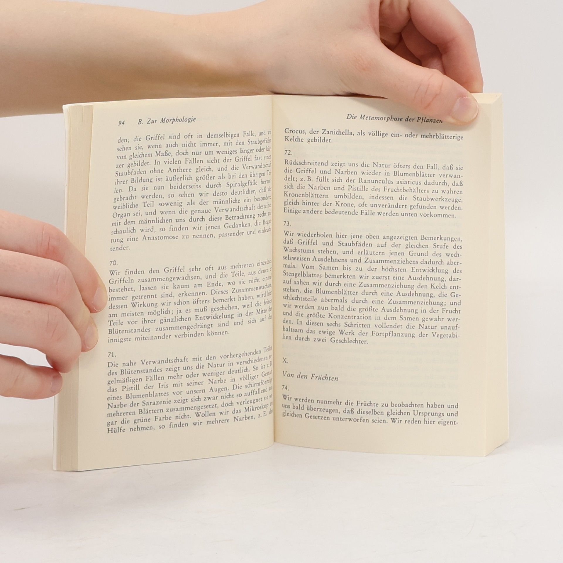 Johann Wolfgang von Goethe Schriften zur Naturwissenschaft