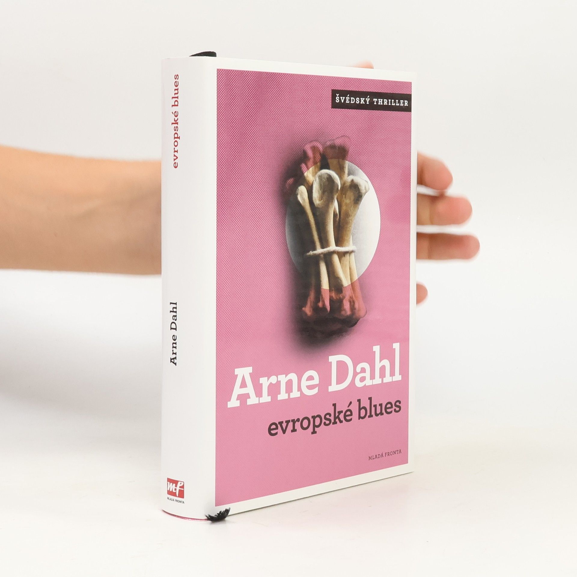 Arne Dahl Evropské blues