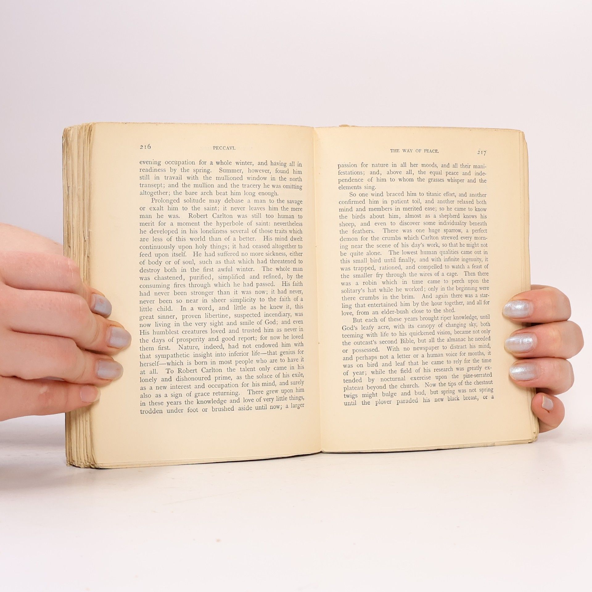 E. W. Hornung Collection of British Authors. Vol. 3484