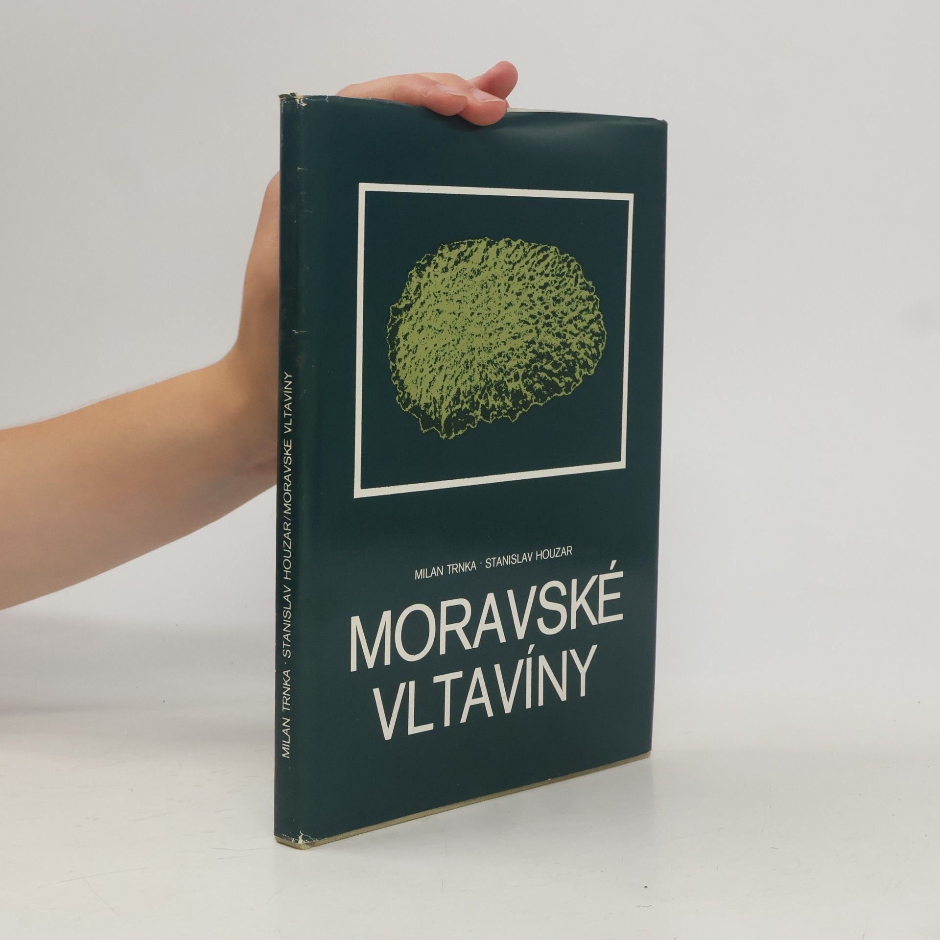 Stanislav Houzar Moravské vltavíny