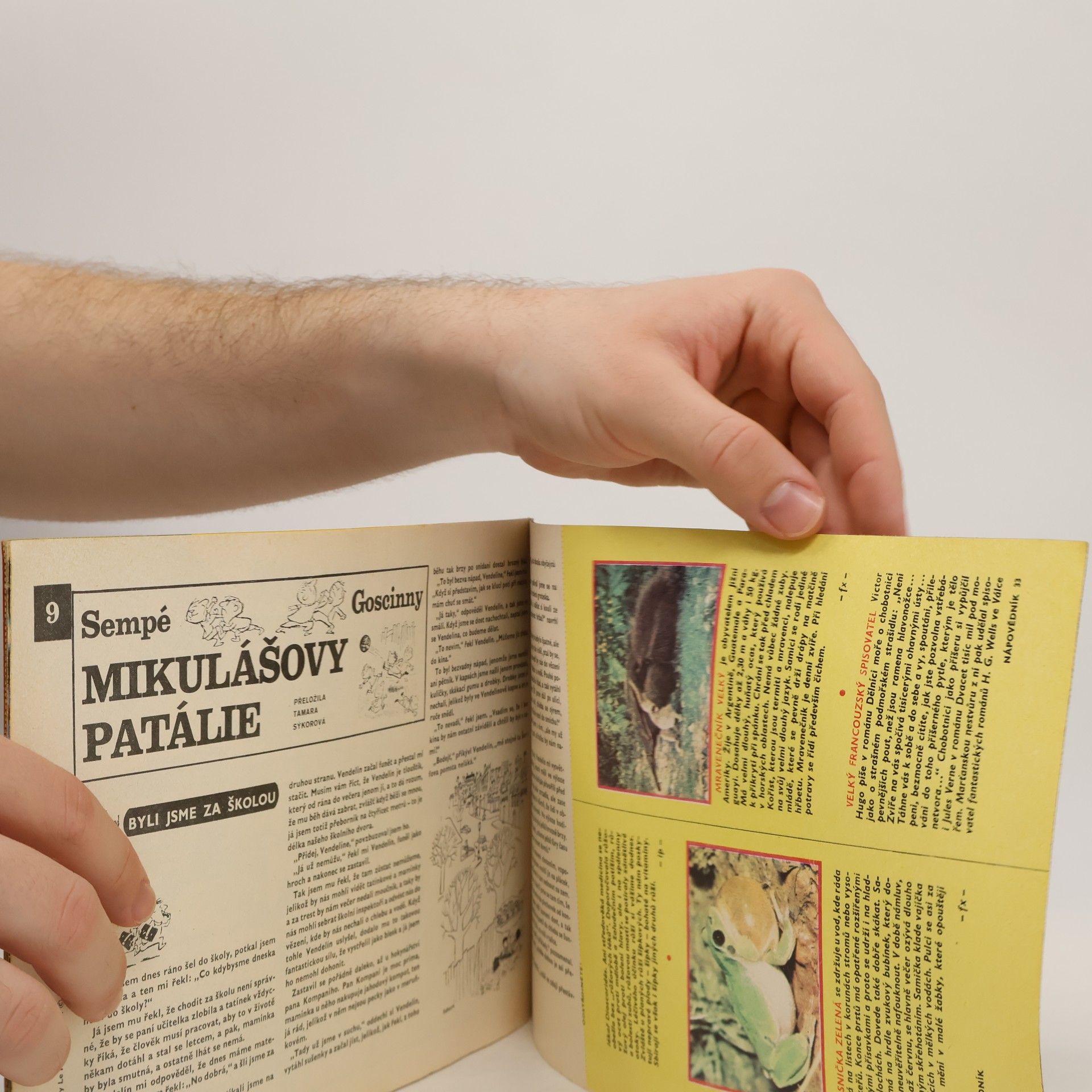 Kolektiv autorů Ohníček 9