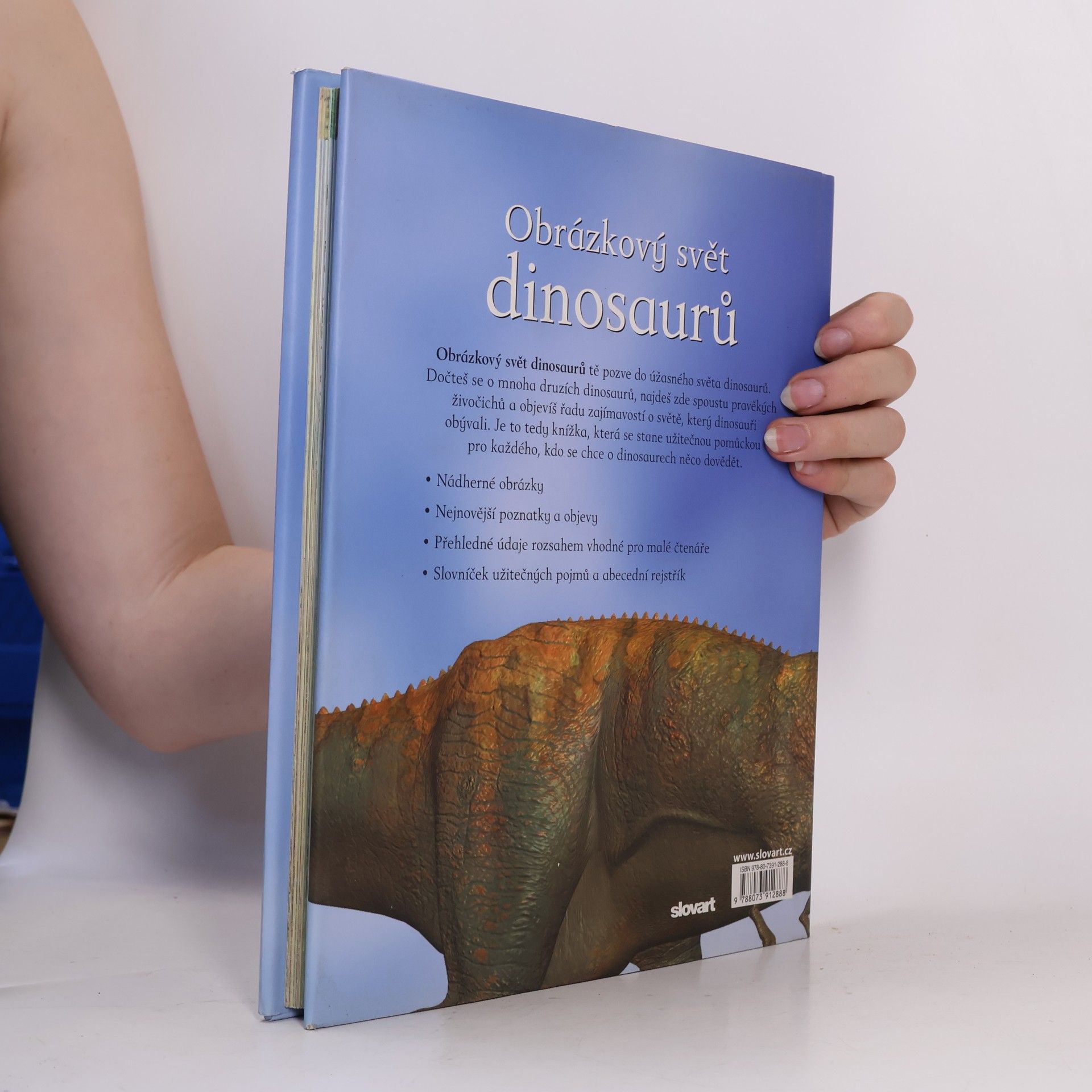 John Malam Obrázkový svět dinosaurů