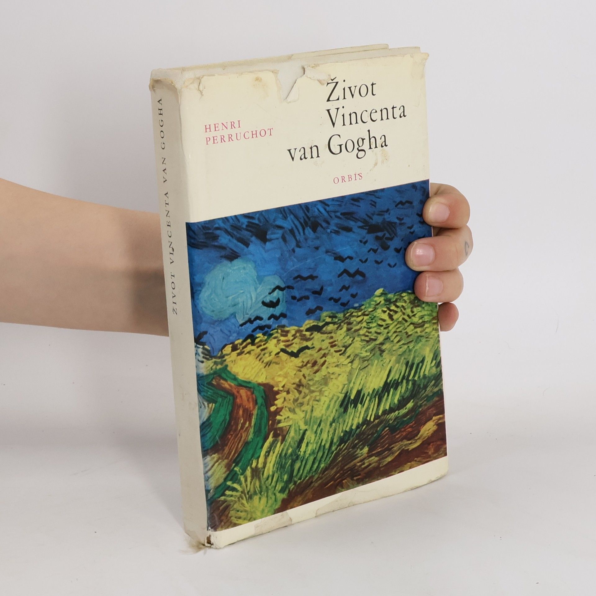 Henri Perruchot Život Vincenta van Gogha