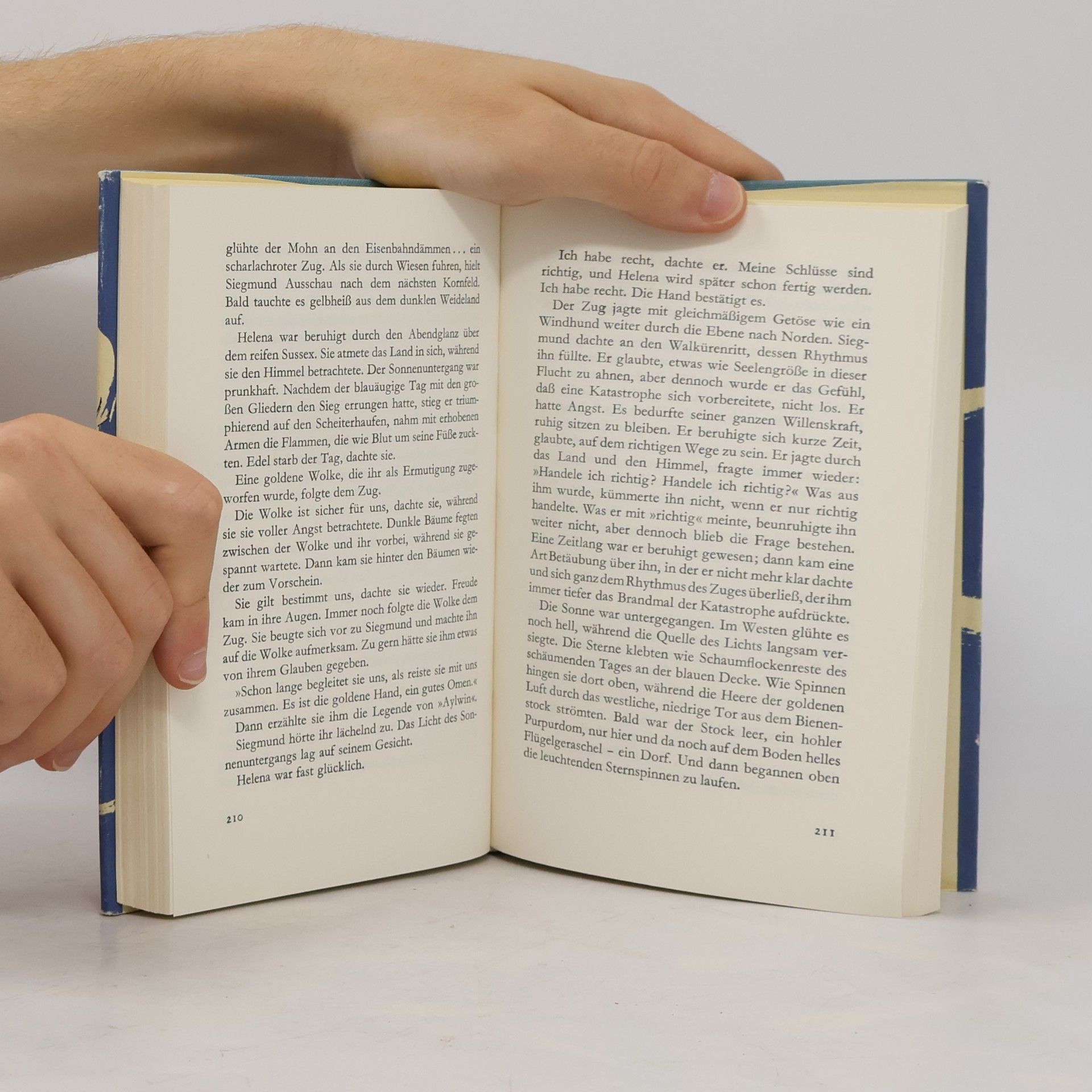 D. H. Lawrence Todgeweihtes Herz