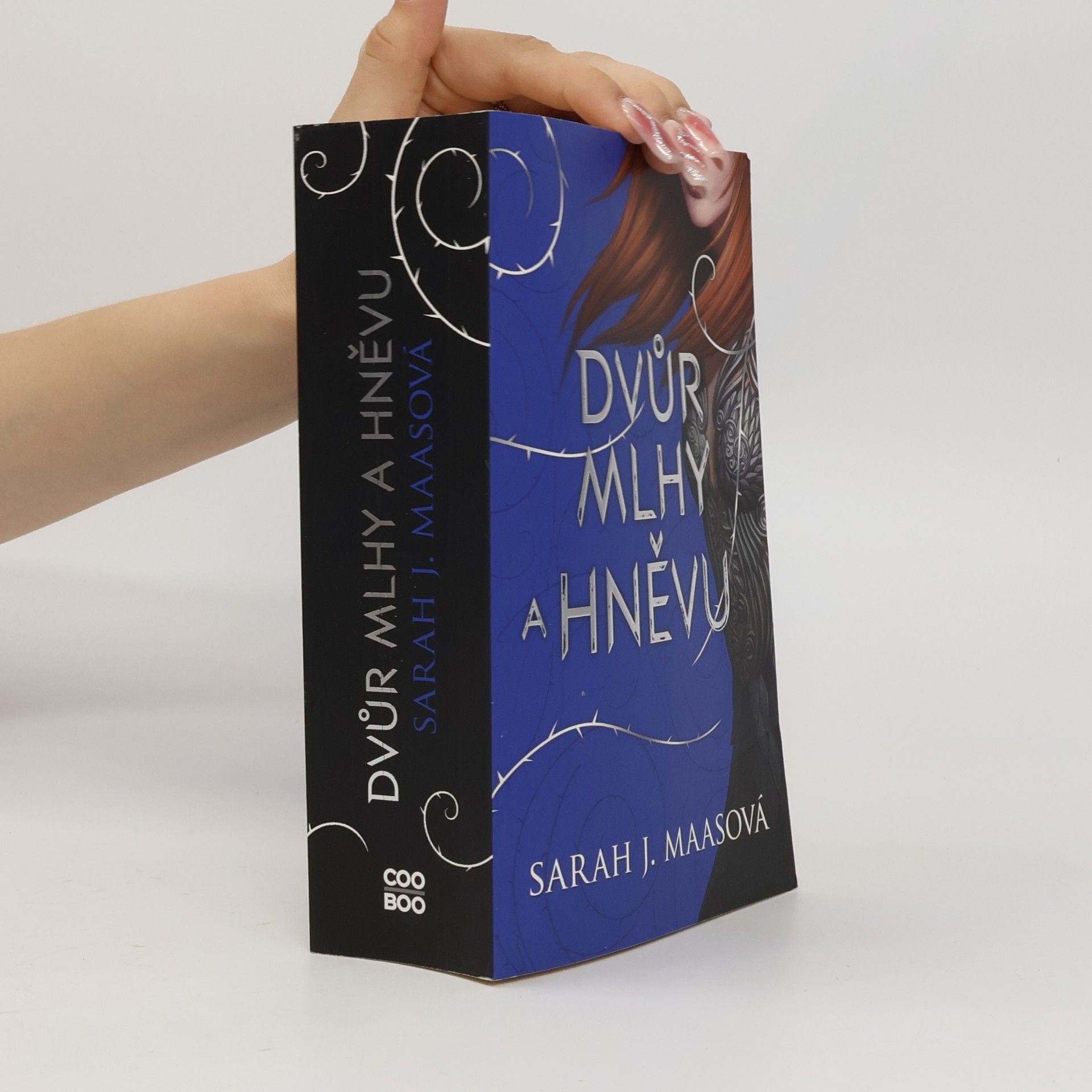Sarah J. Maas Dvůr mlhy a hněvu