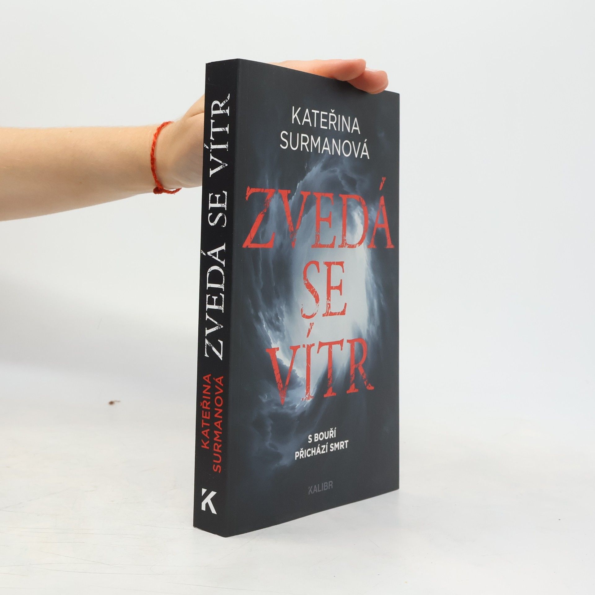 Kateřina Surmanová Zvedá se vítr