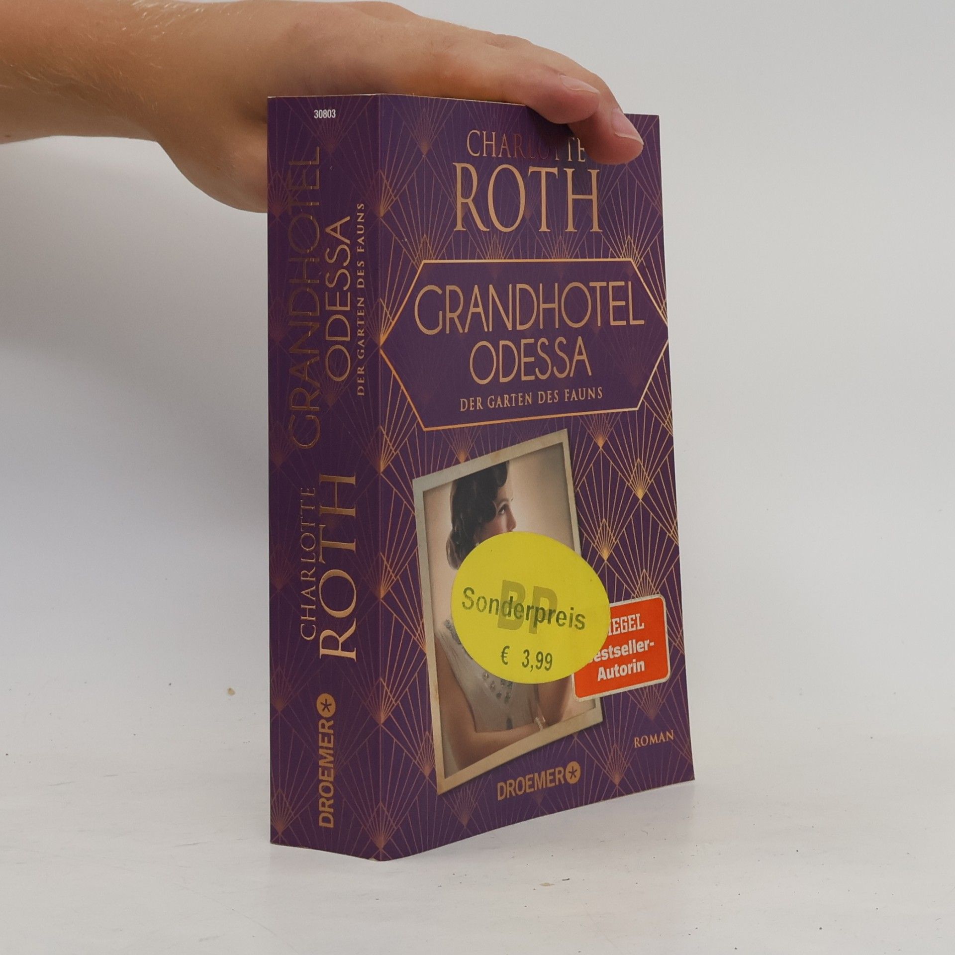 Charlotte Roth Grandhotel Odessa. Der Garten des Fauns