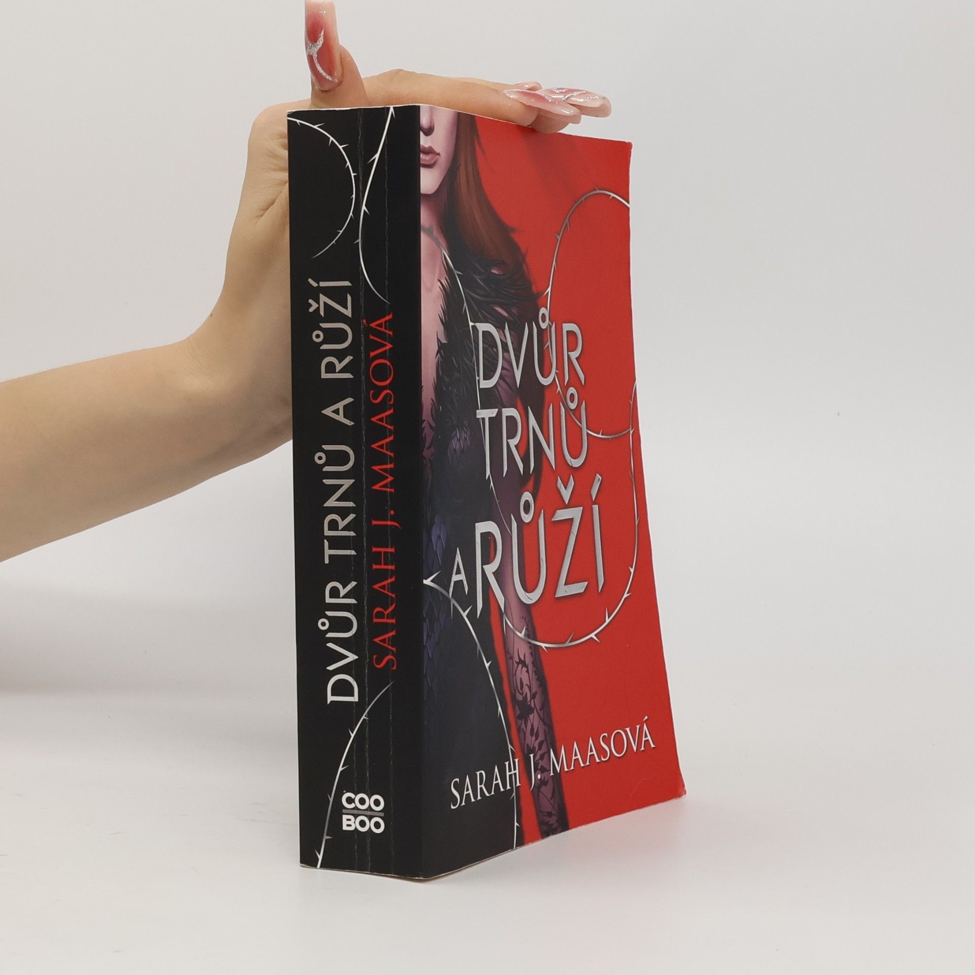 Sarah J. Maas Dvůr trnů a růží