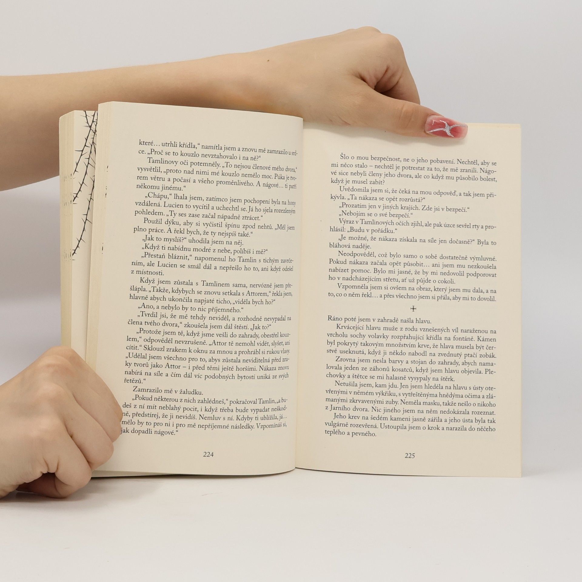 Sarah J. Maas Dvůr trnů a růží