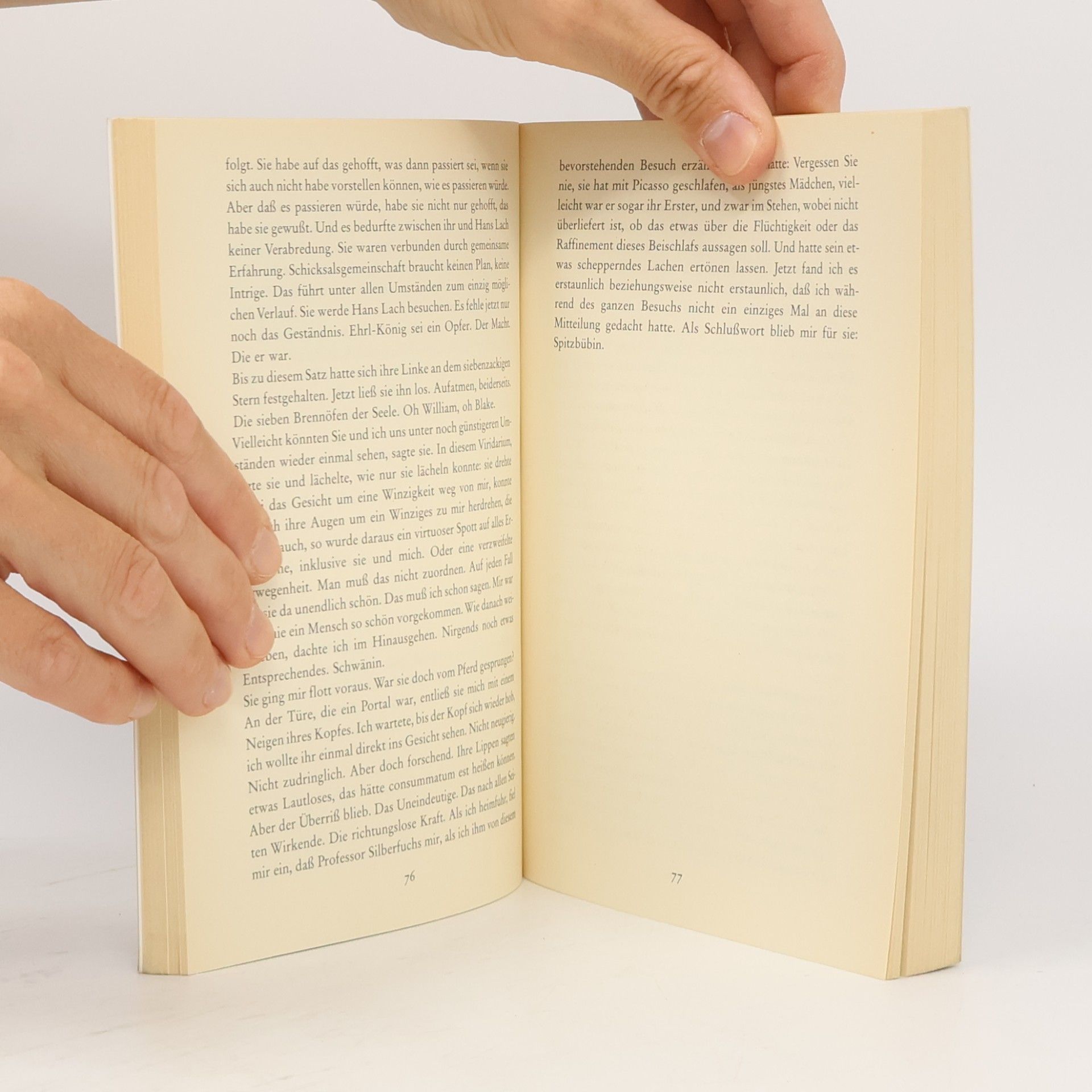 Martin Walser Tod eines Kritikers