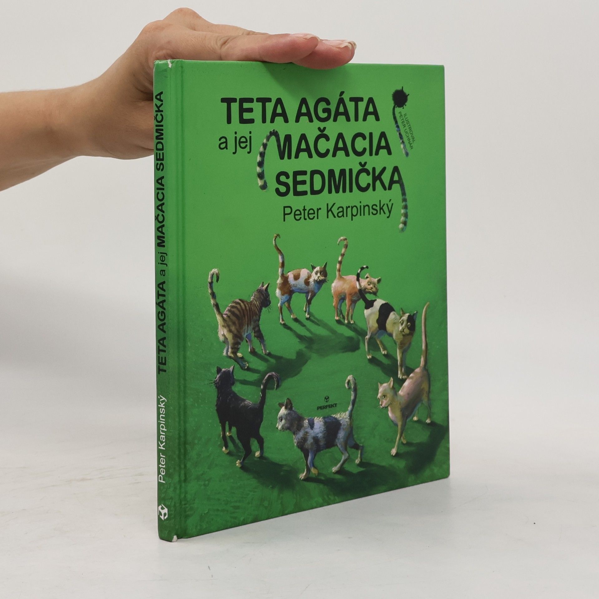 Peter Karpinský Teta Agáta a jej mačacia sedmička