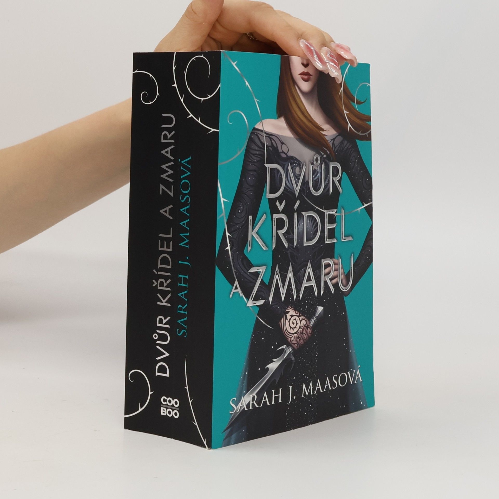 Sarah J. Maas Dvůr křídel a zmaru