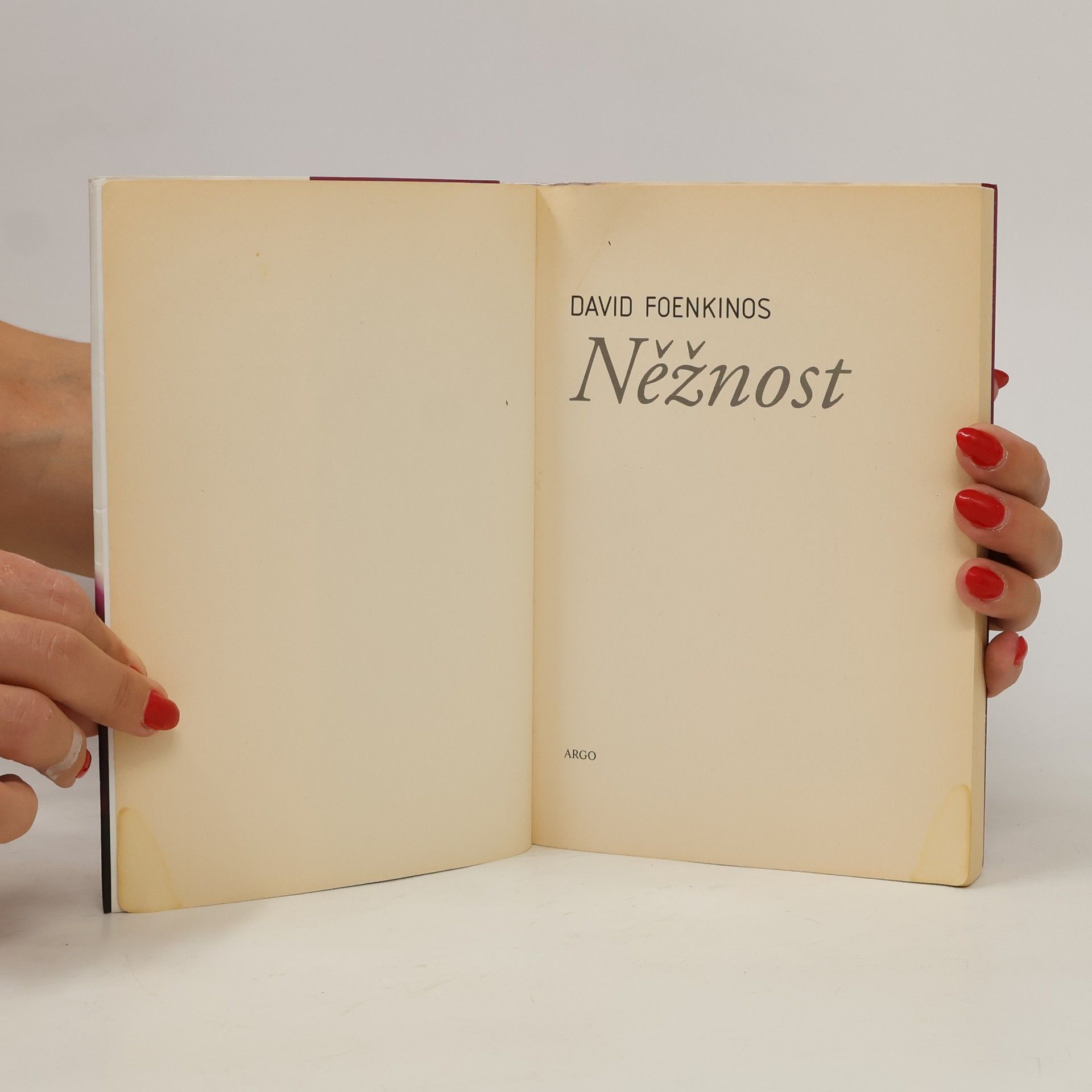 David Foenkinos Něžnost