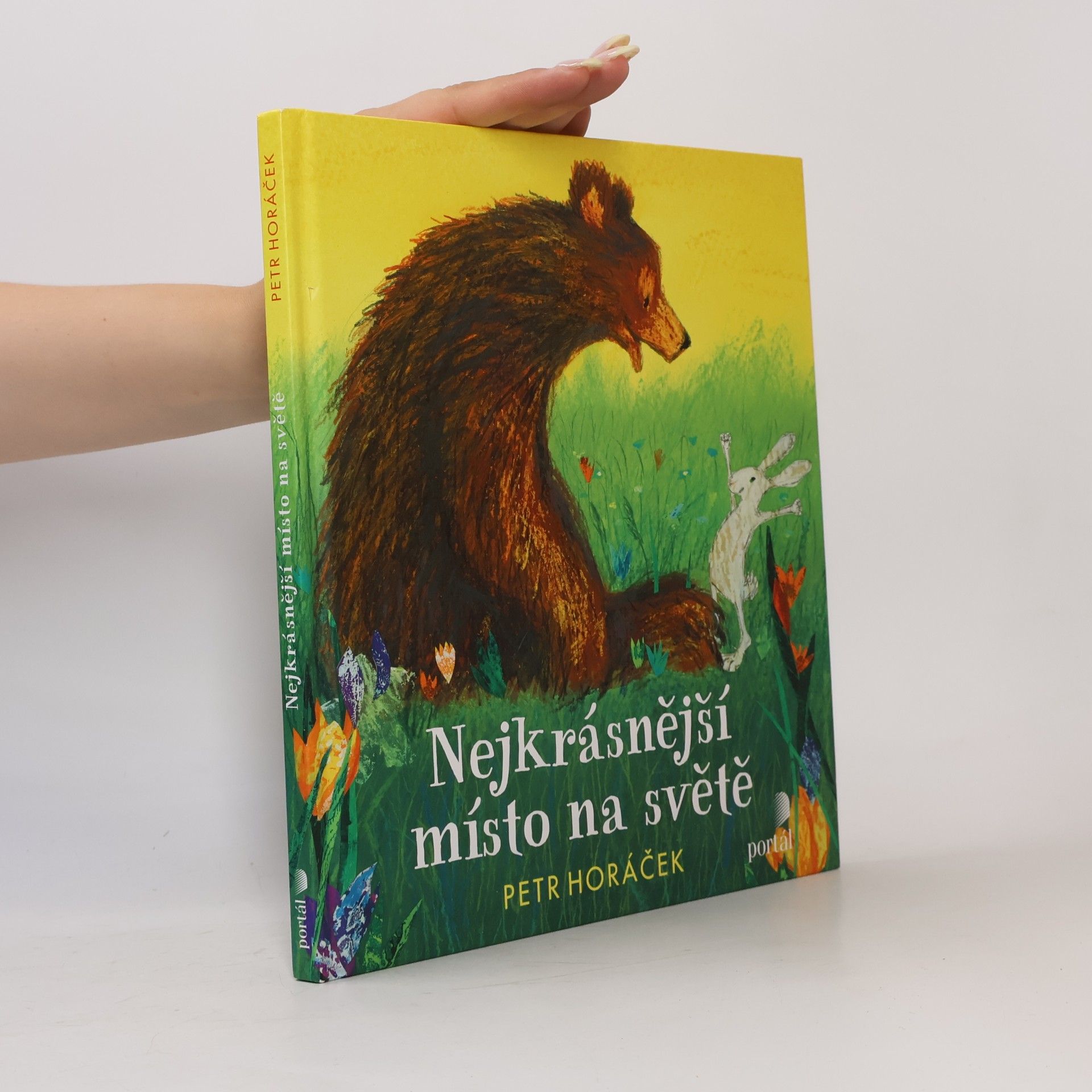 Horacek Petr Nejkrásnější místo na světě