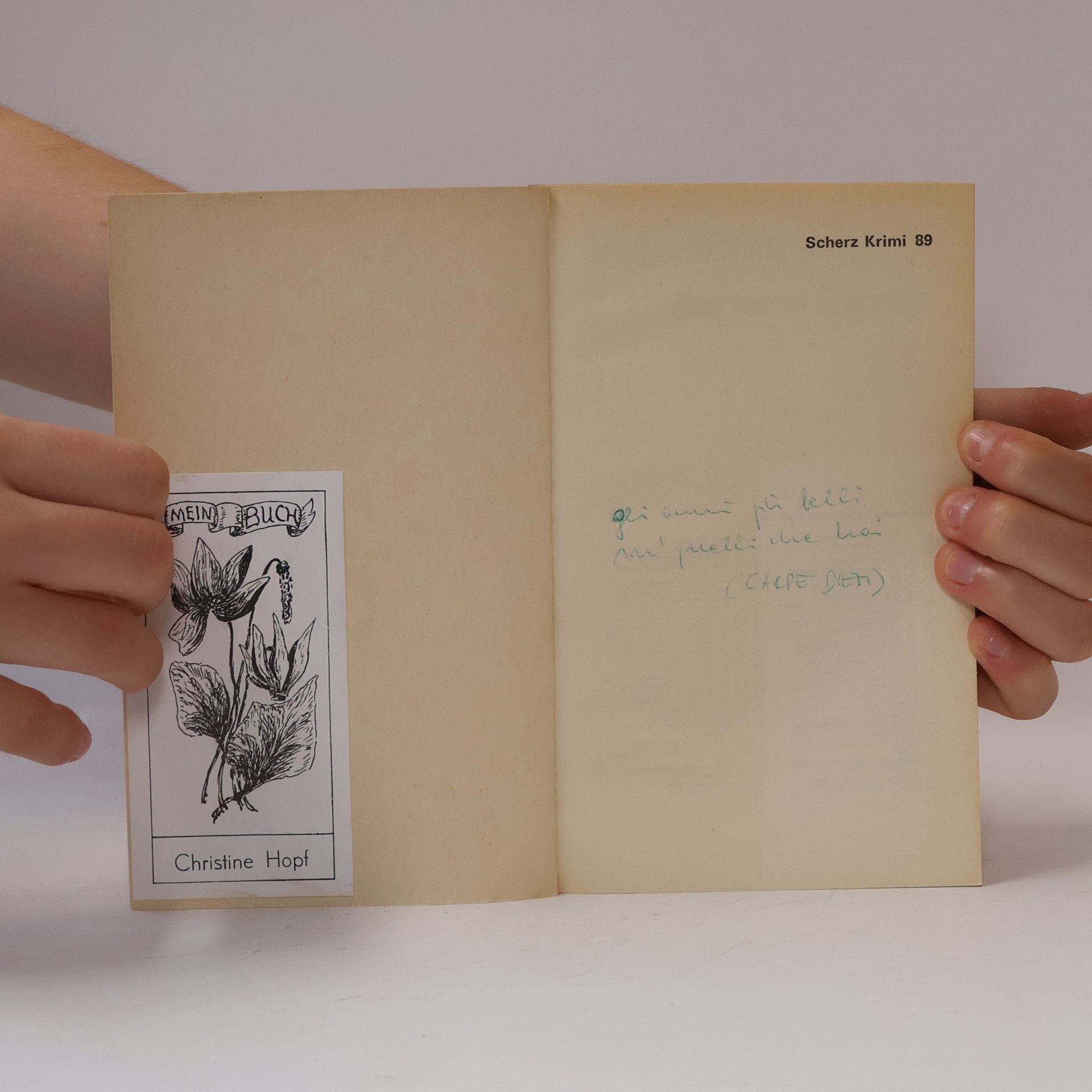 Agatha Christie Der blaue Express