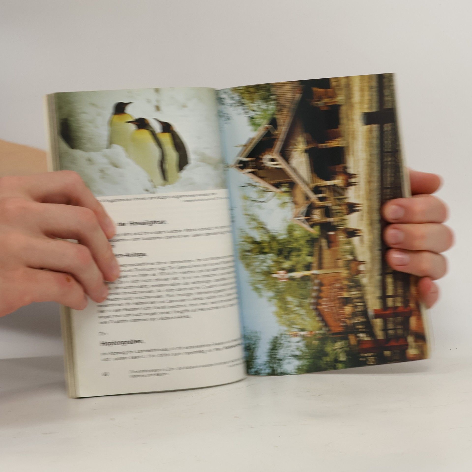 Autorenkollektiv Zoo Berlin mit Aquarium