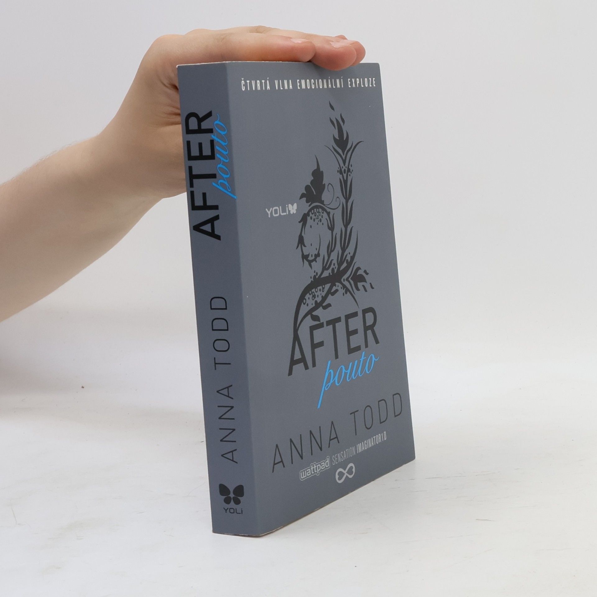 Anna Todd After. Pouto