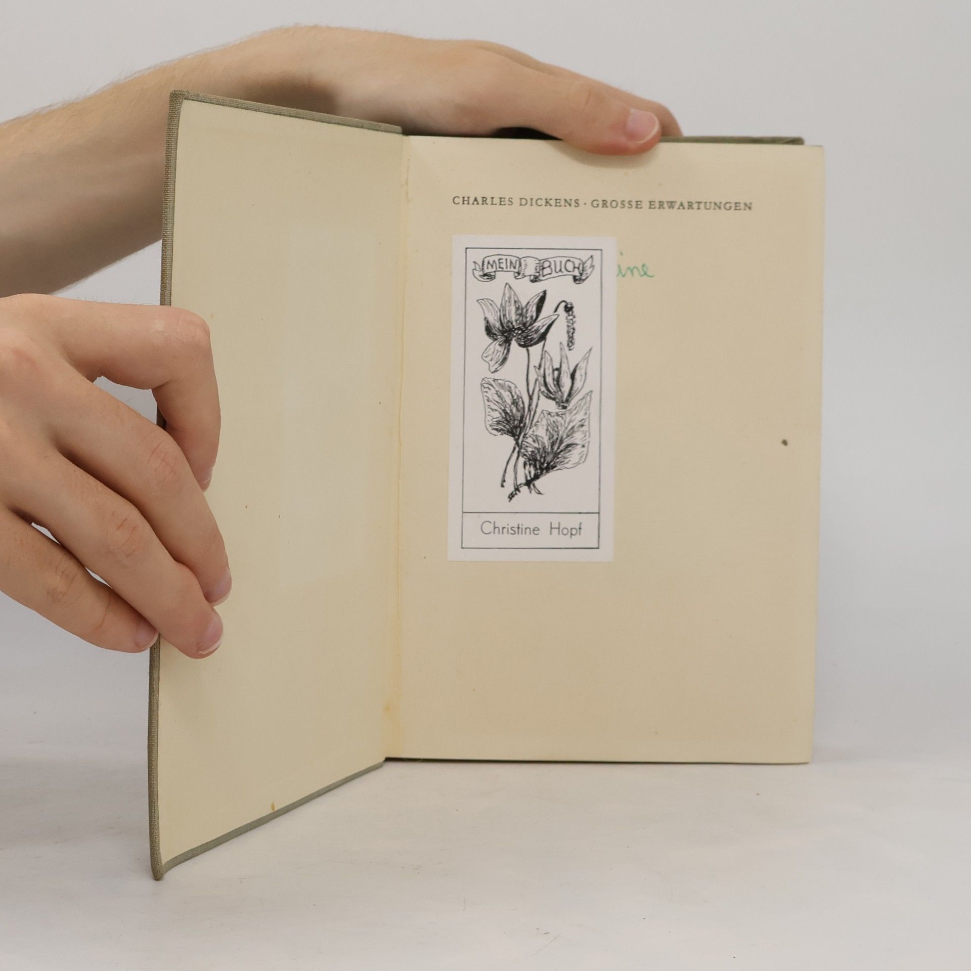 Charles Dickens Grosse Erwartungen