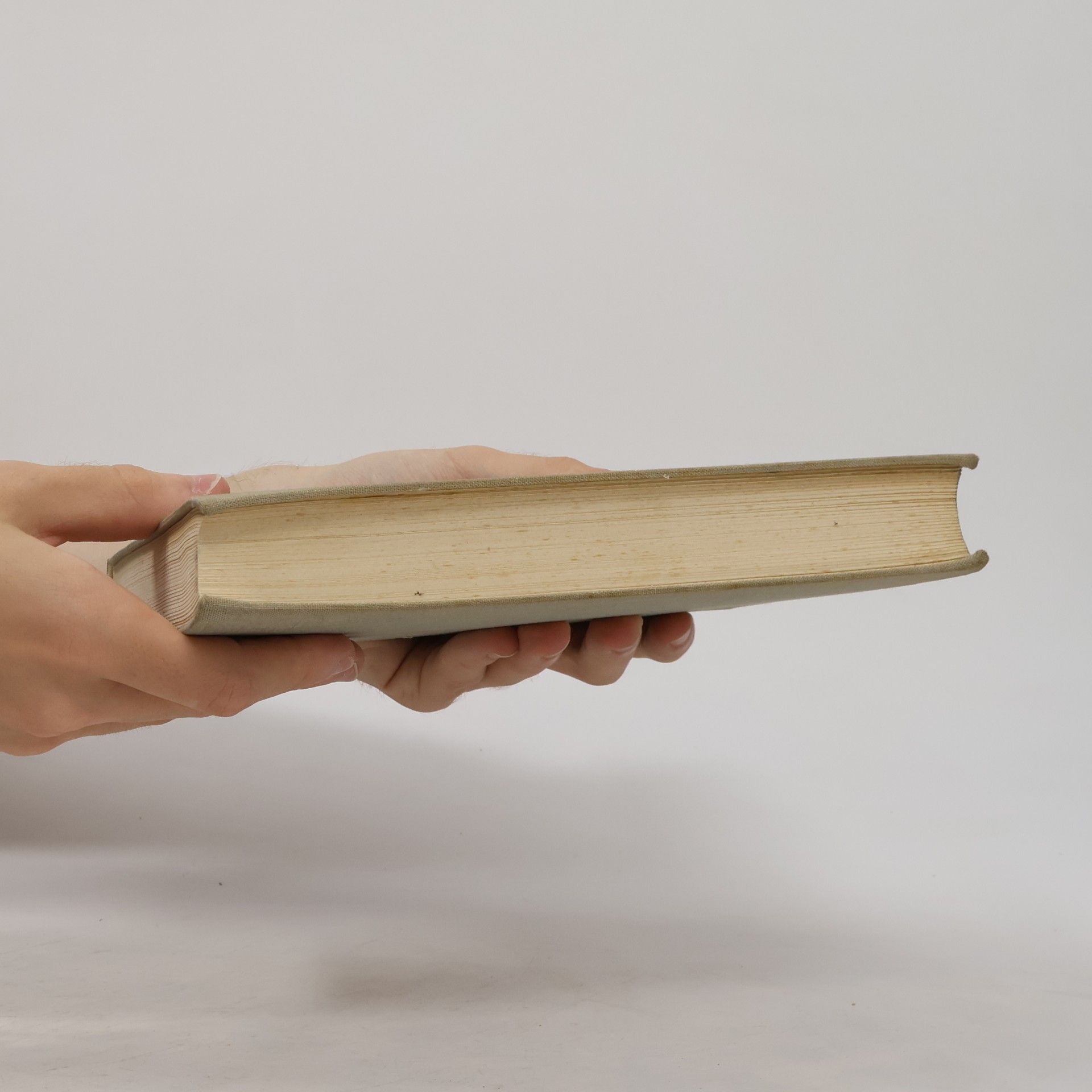 Charles Dickens Grosse Erwartungen
