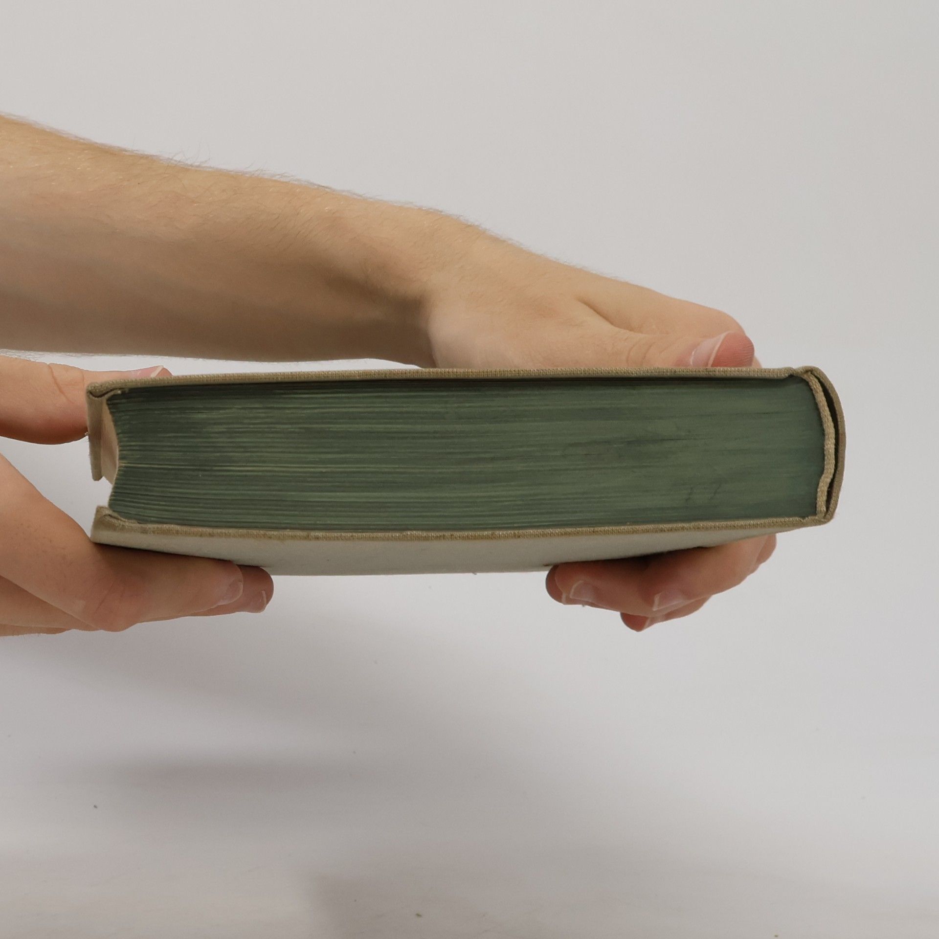Charles Dickens Grosse Erwartungen