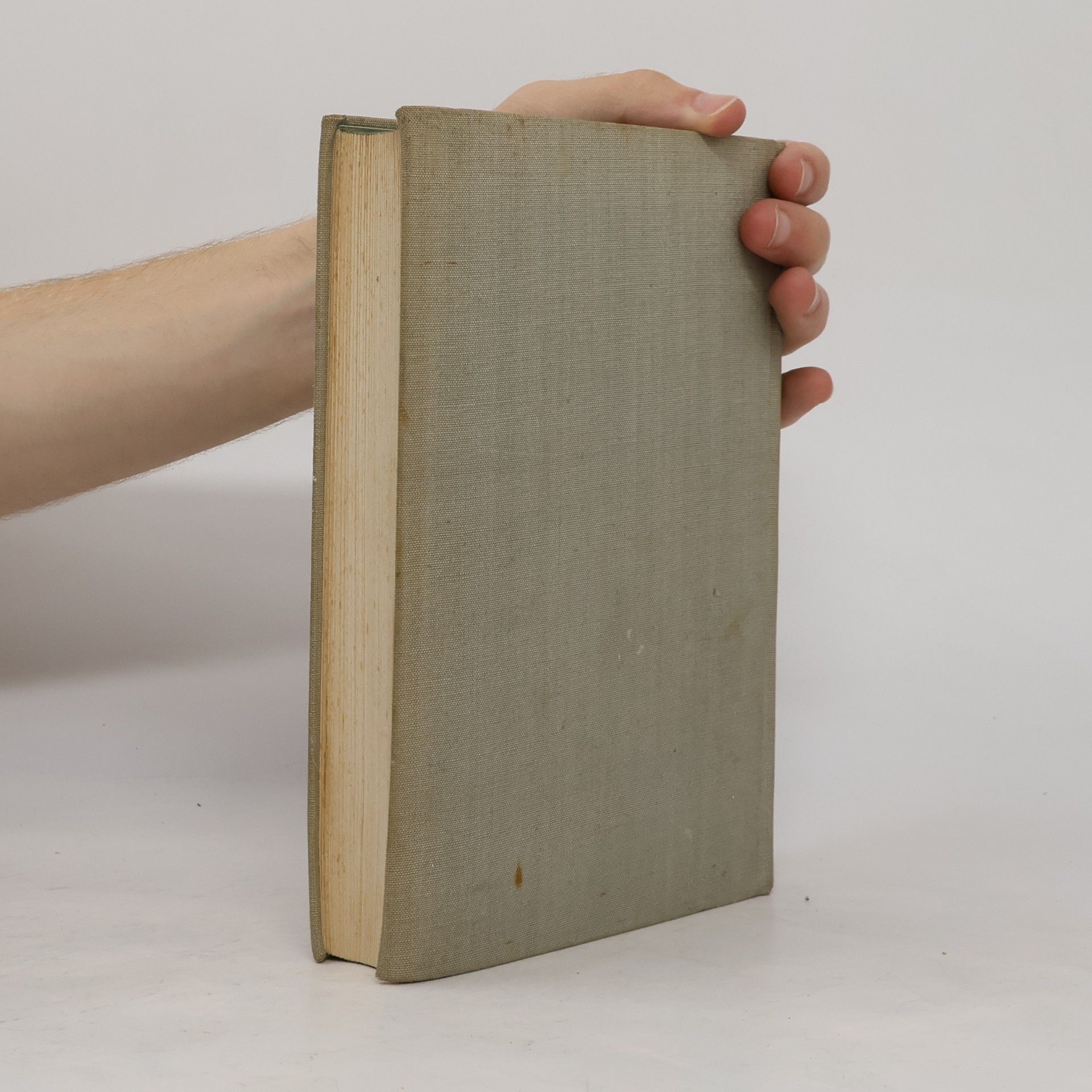 Charles Dickens Grosse Erwartungen