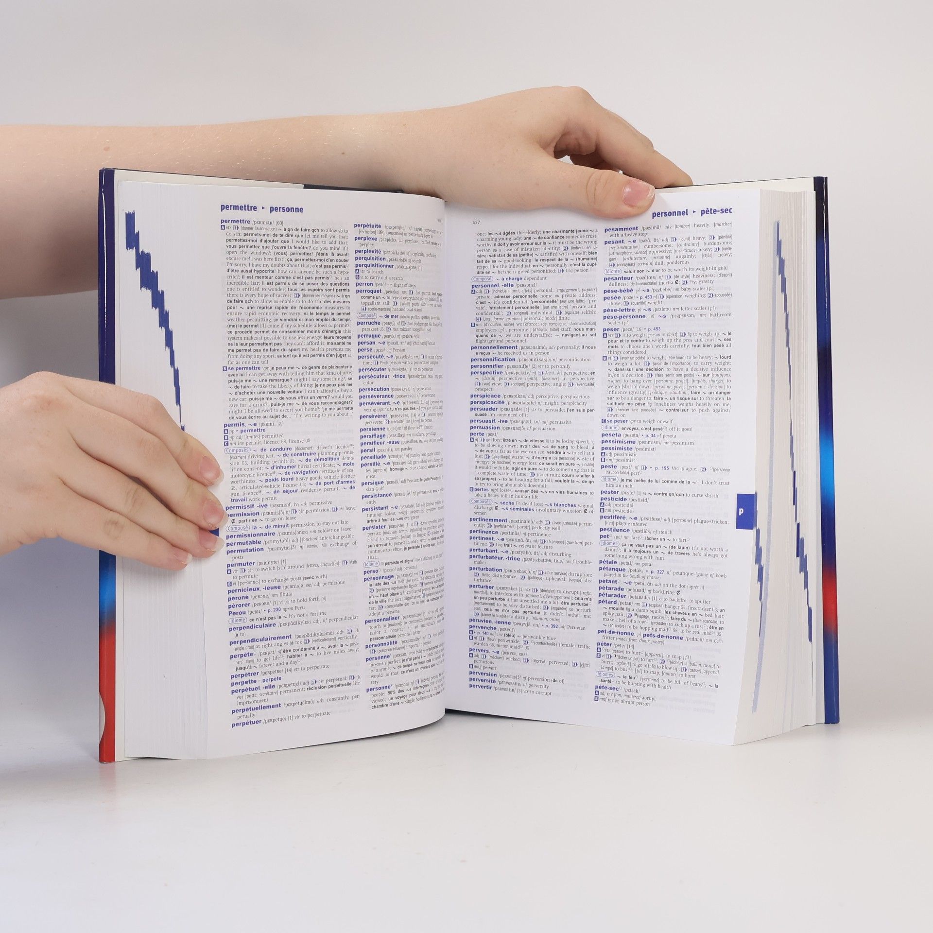 Valerie Grundy Concise Oxford-Hachette French Dictionary