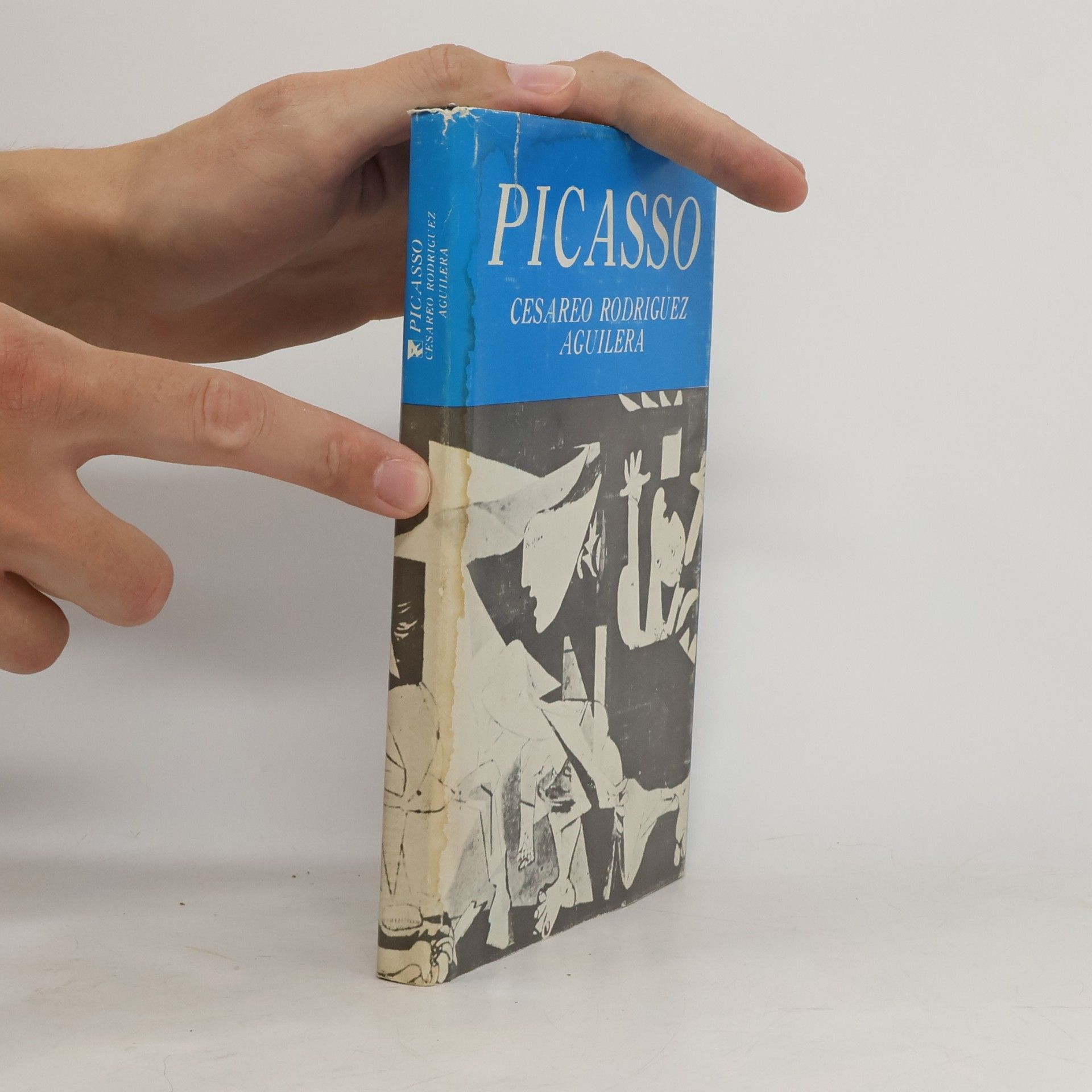 Cesáreo Rodríguez Aguilera Picasso