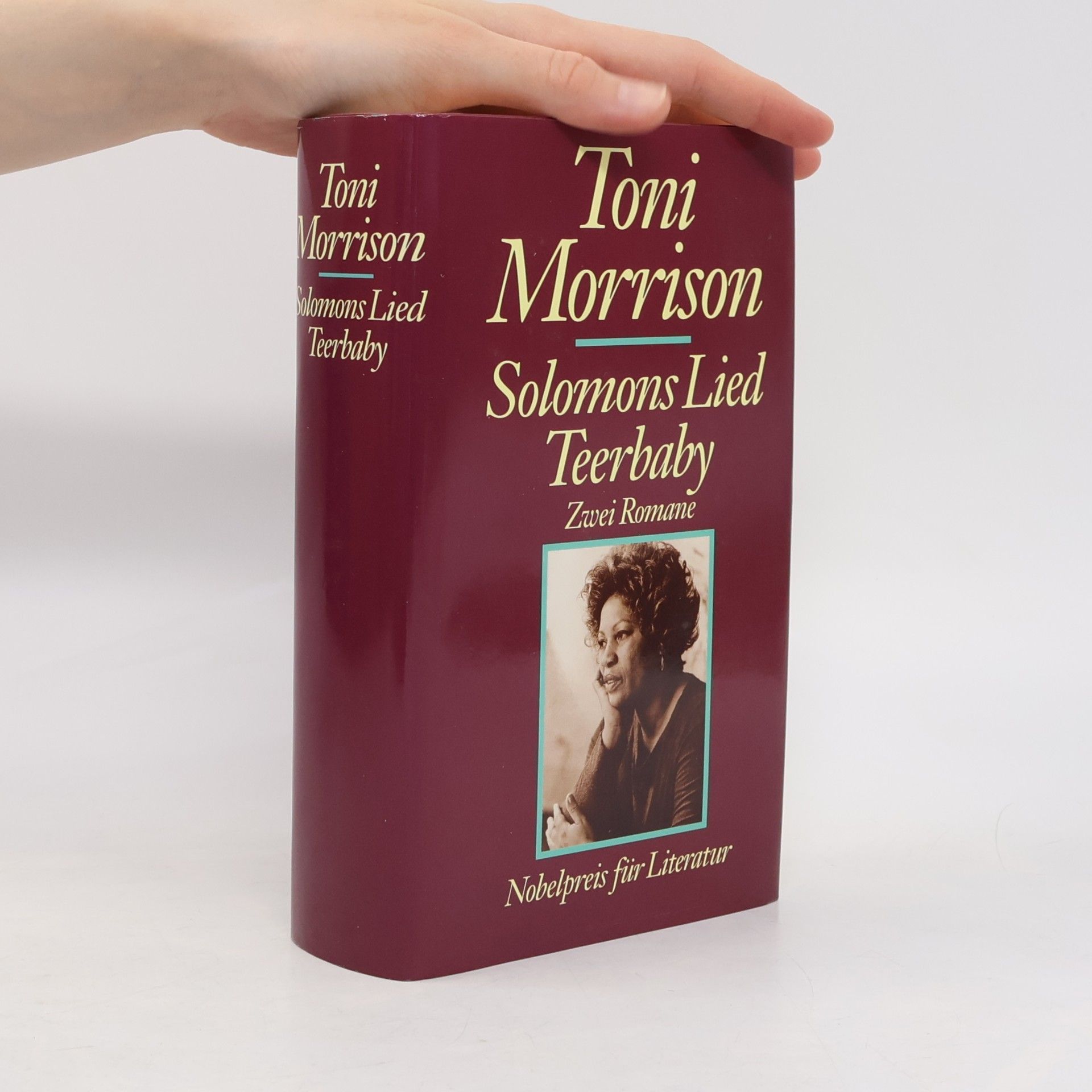 Toni Morrison Solomons Lied. Teerbaby