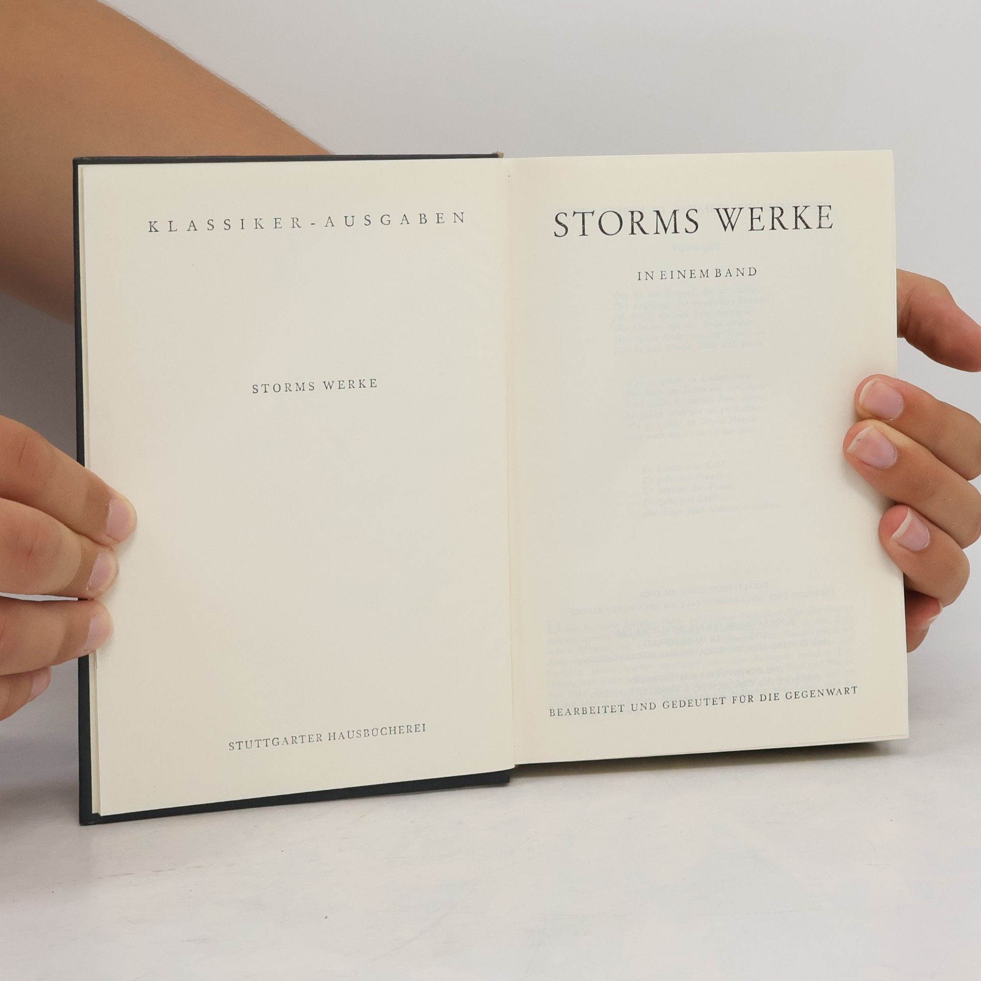 Autorenkollektiv Storms Werke in einem Band