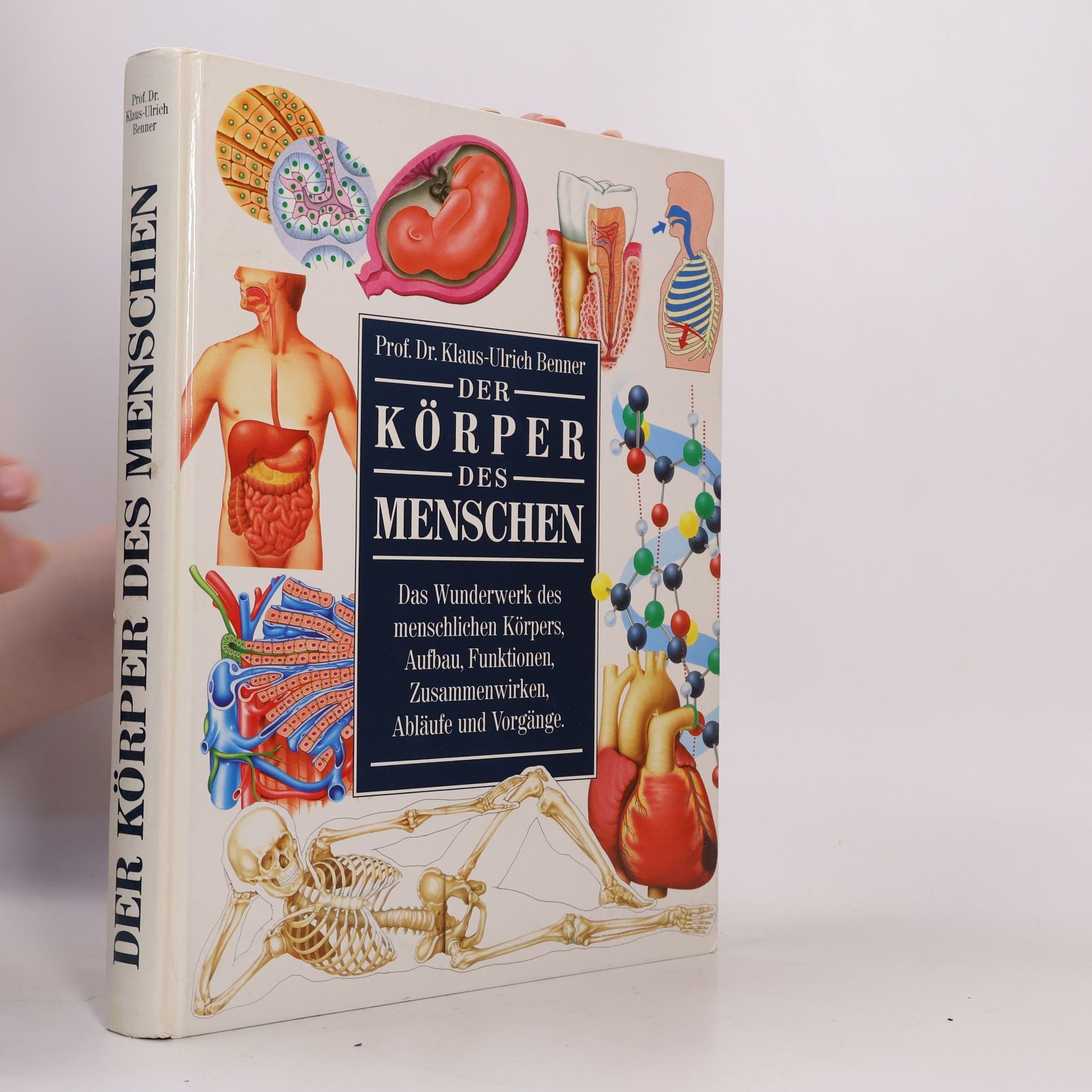 Klaus-Ulrich Wermann Der Körper des Menschen