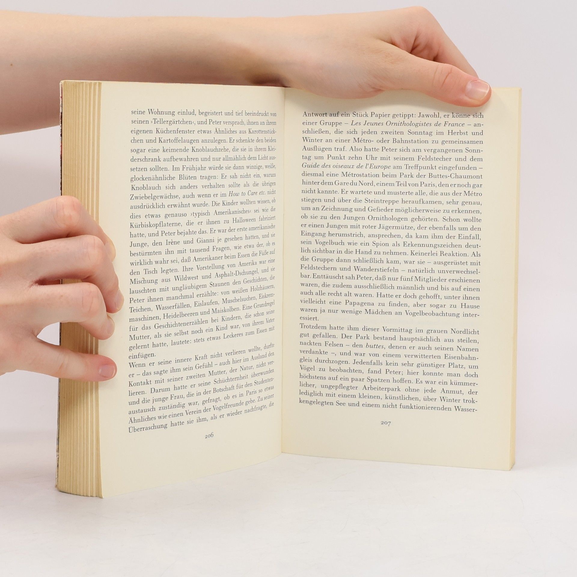 Mary McCarthy Ein Sohn der Neuen Welt