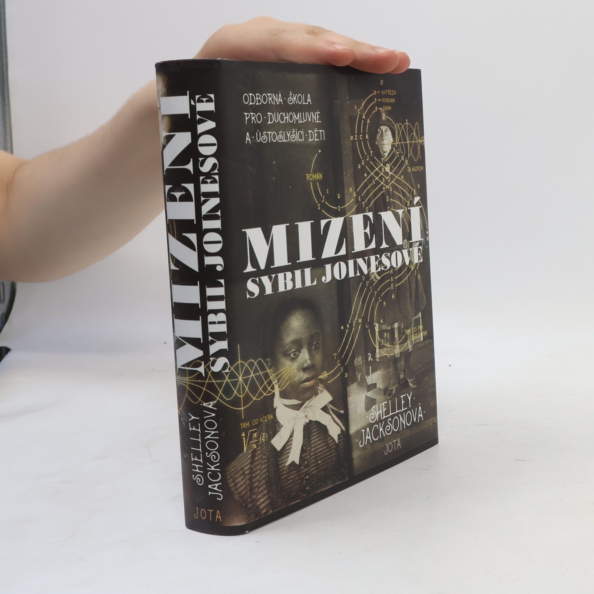 Shelley Jackson Mizení Sybil Joinesové