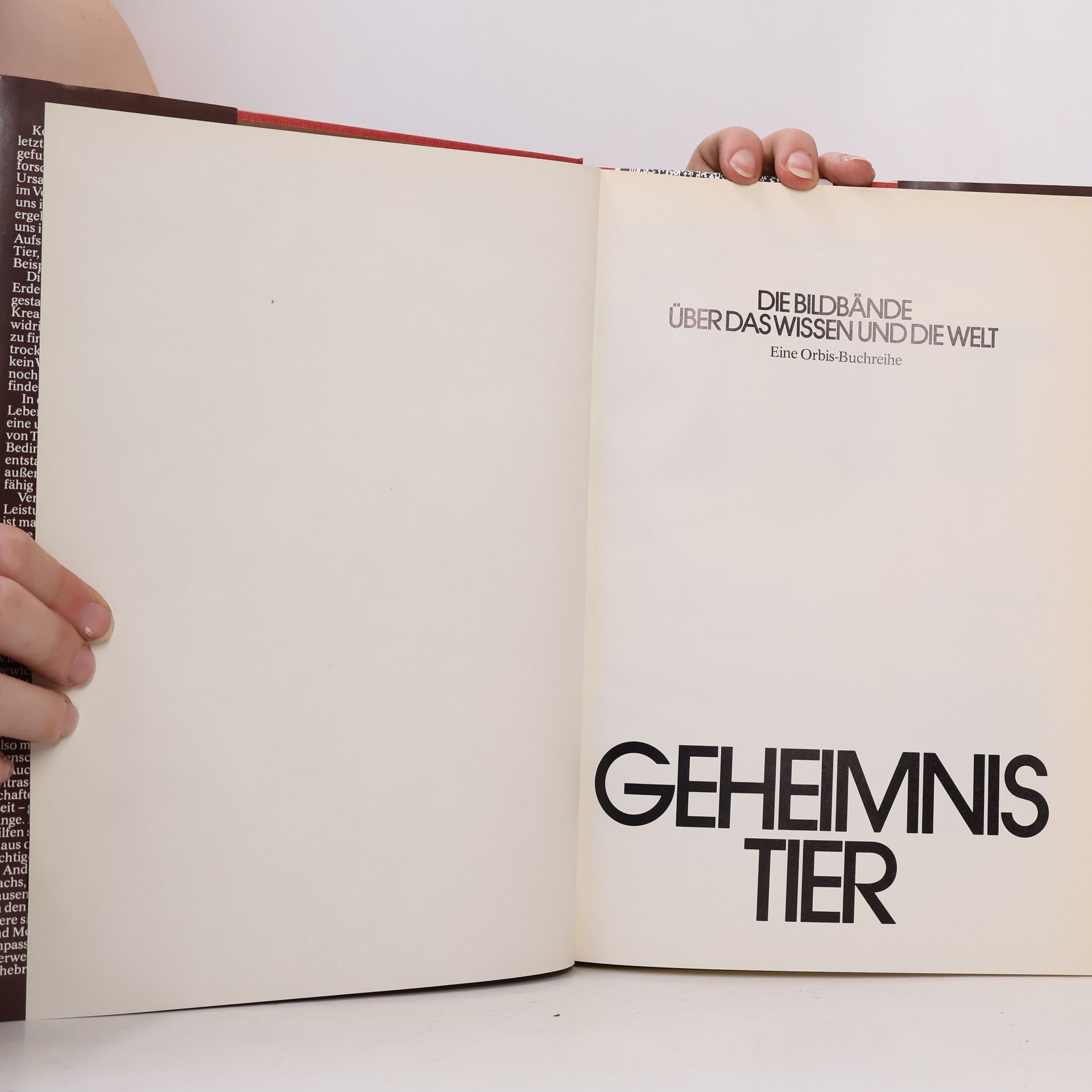Autorenkollektiv Geheimnis Tier