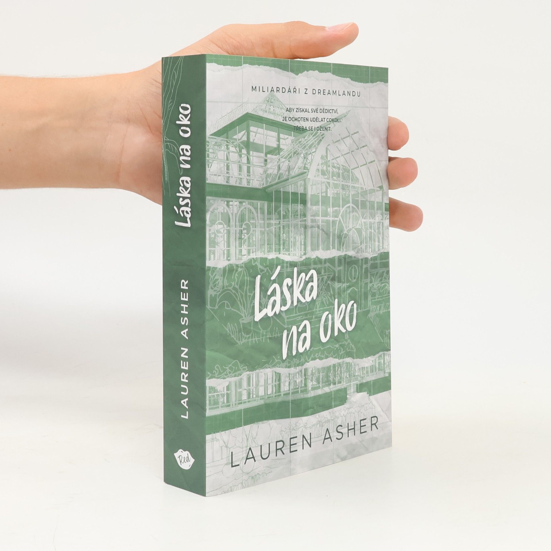 Lauren Asher Láska na oko
