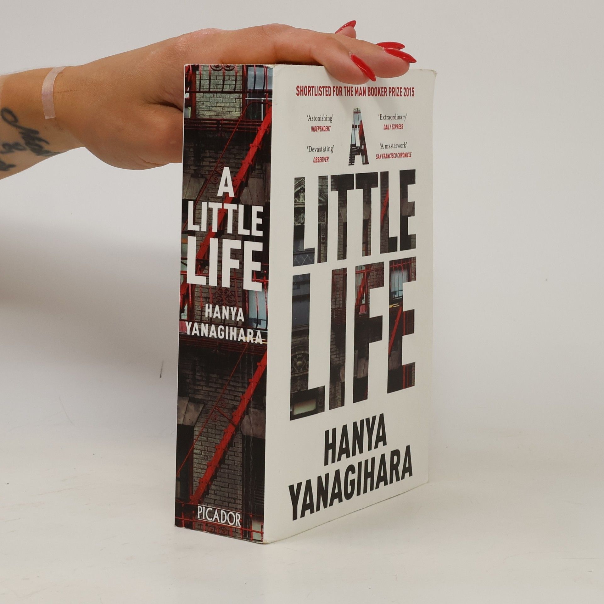 Hanya Yanagihara A Little Life