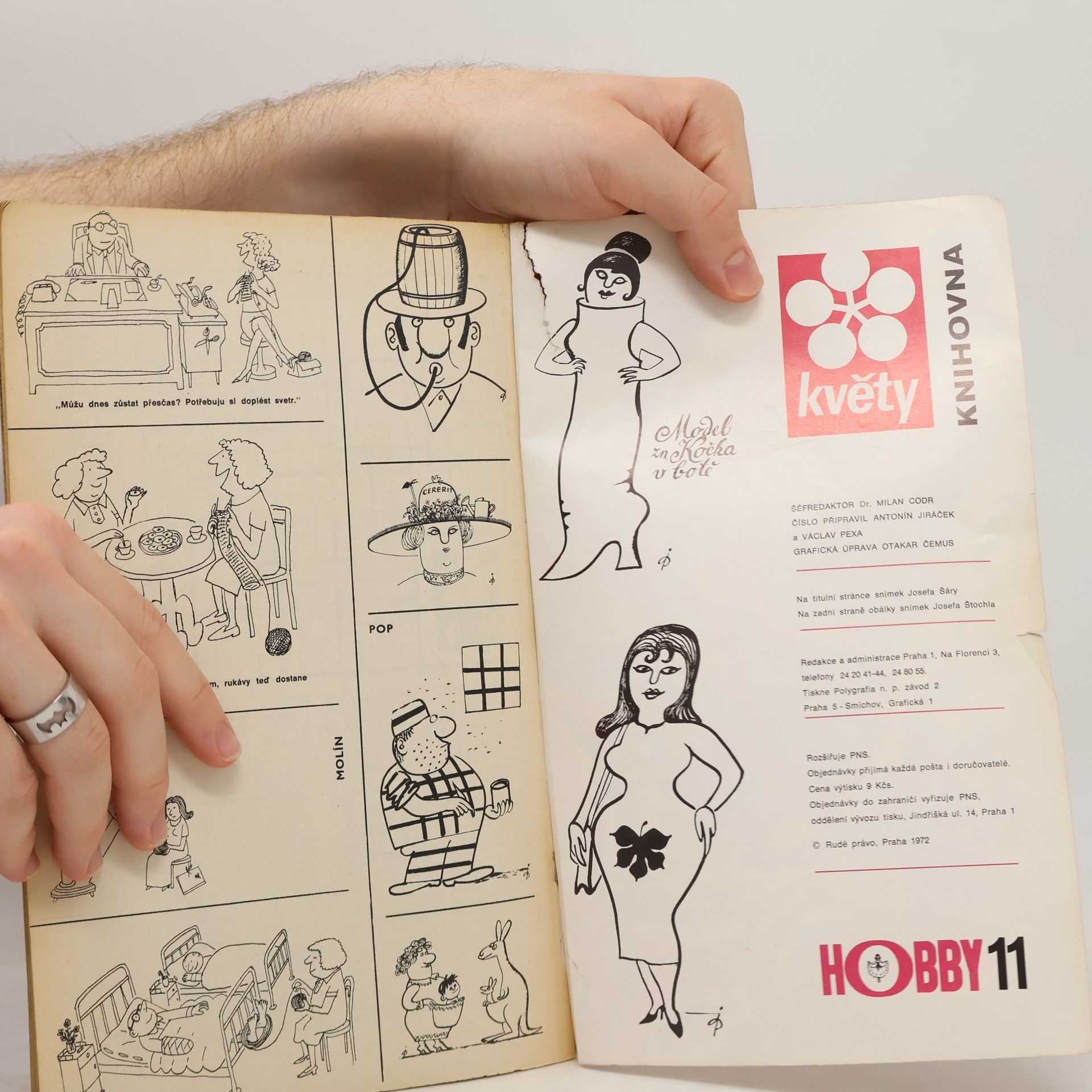 Kolektiv autorů Květy. Hobby 11