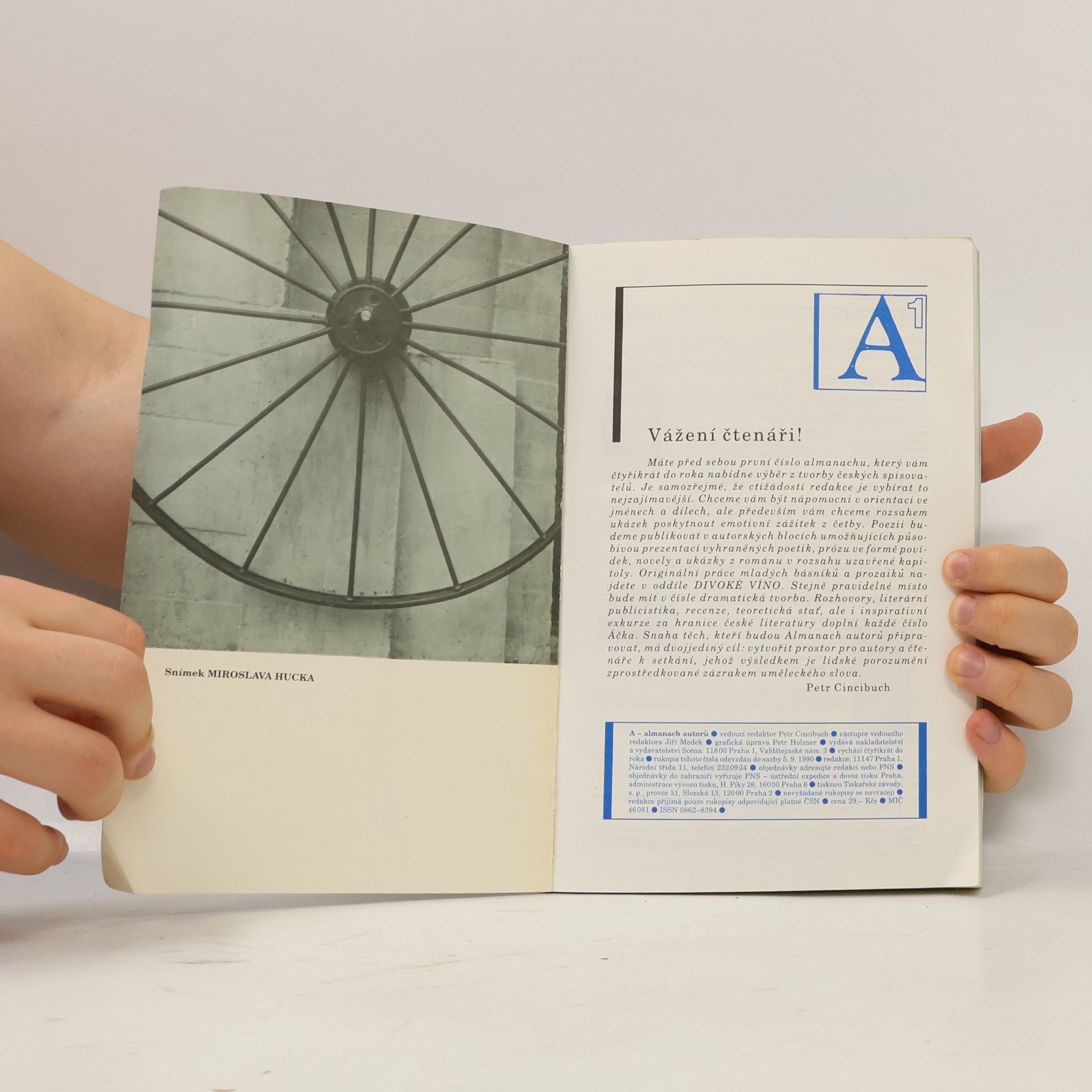 Autores varios A almanach autorů