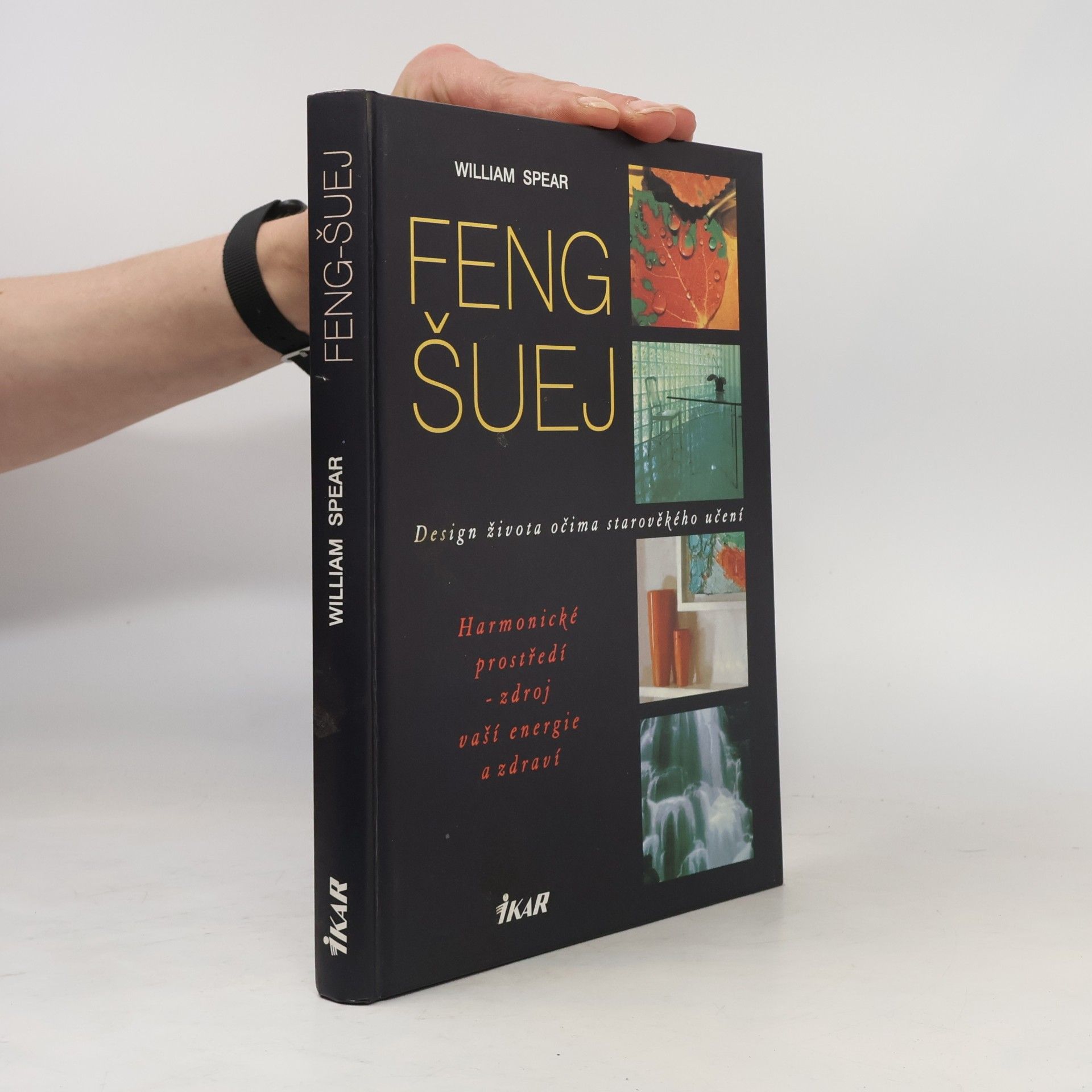Zdeňka Vasiljevová Feng šuej